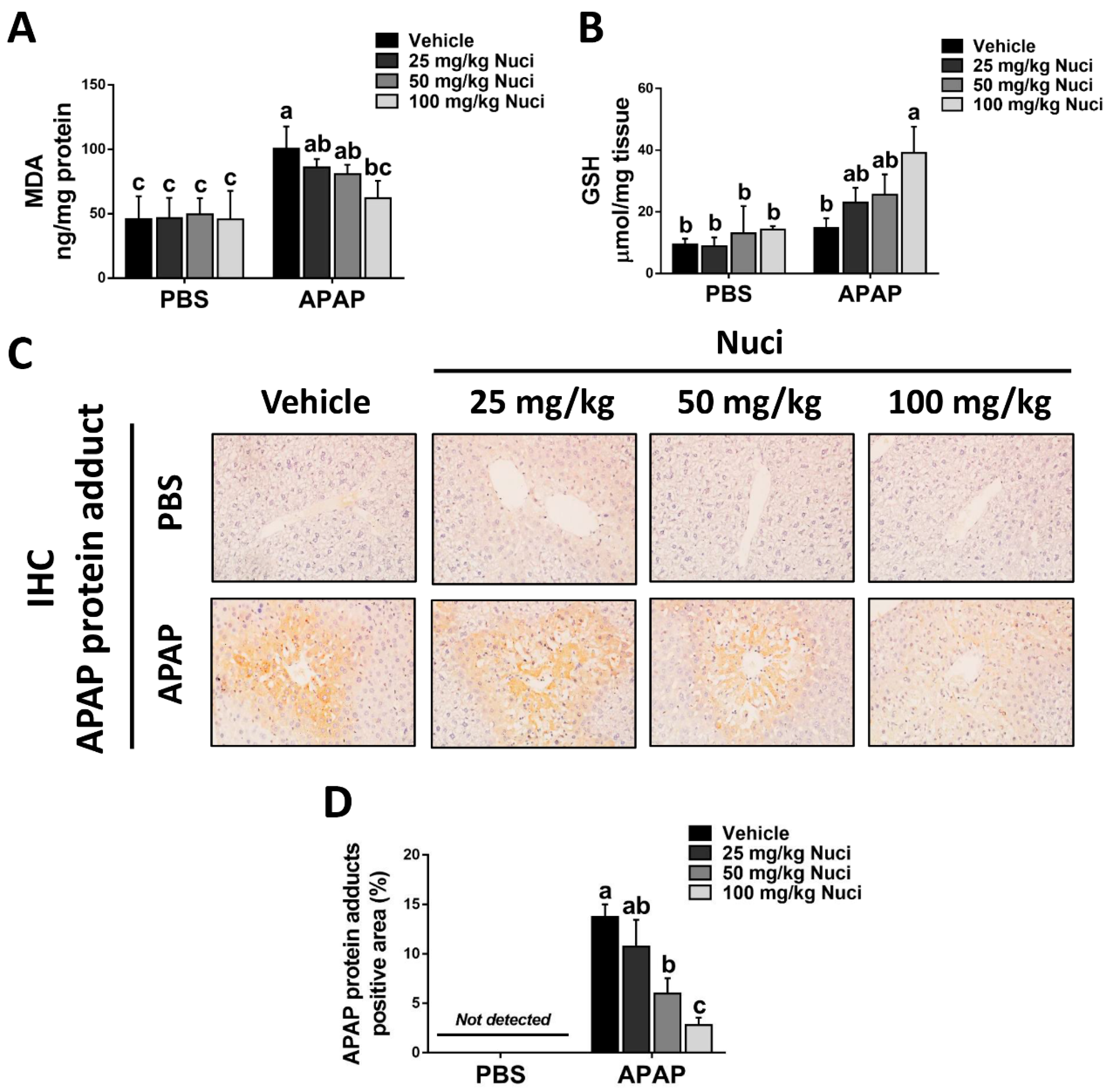 Antioxidants 12 00949 g005 Antioxidants 12 00949 g005