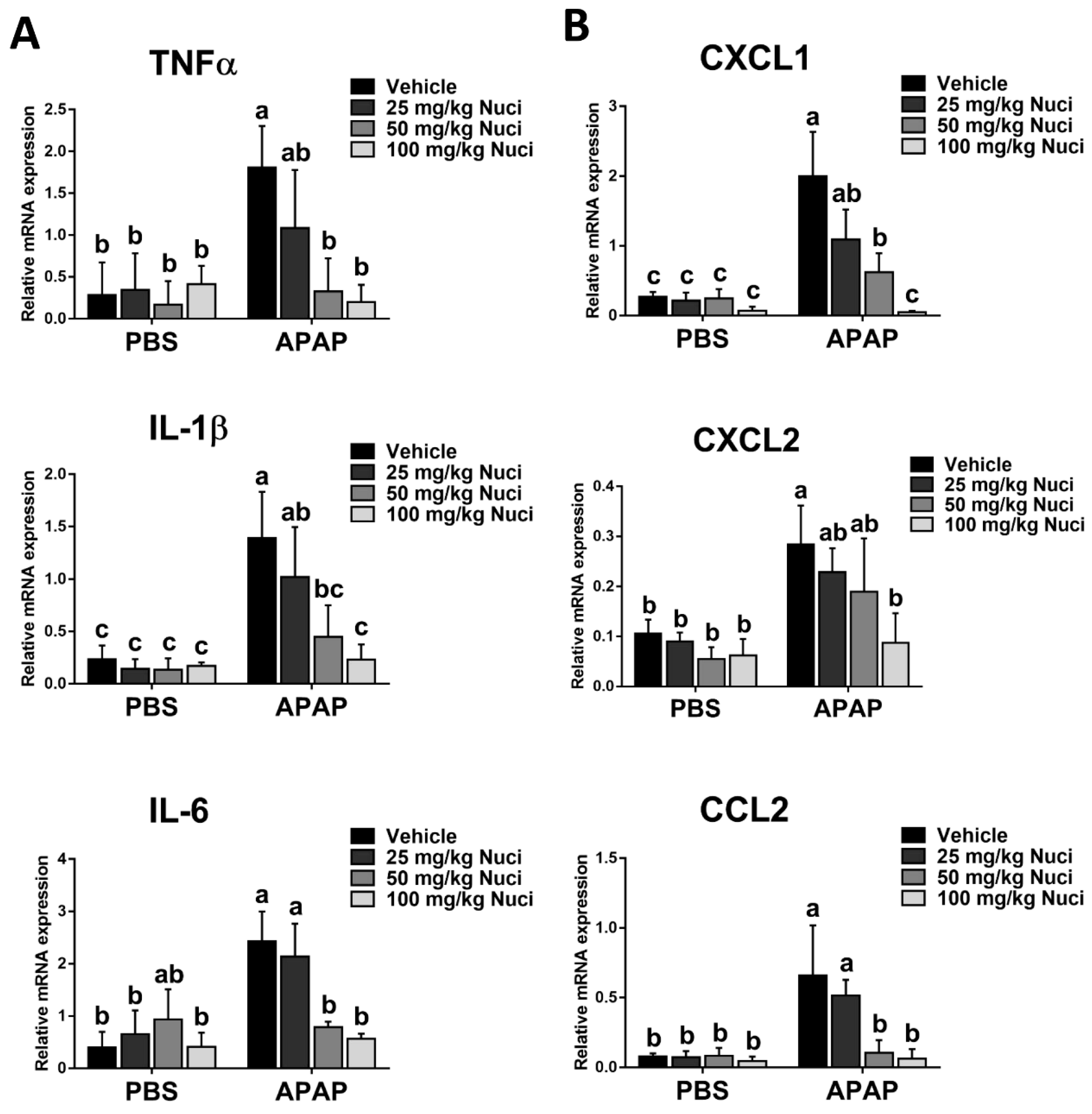 Antioxidants 12 00949 g007 Antioxidants 12 00949 g007