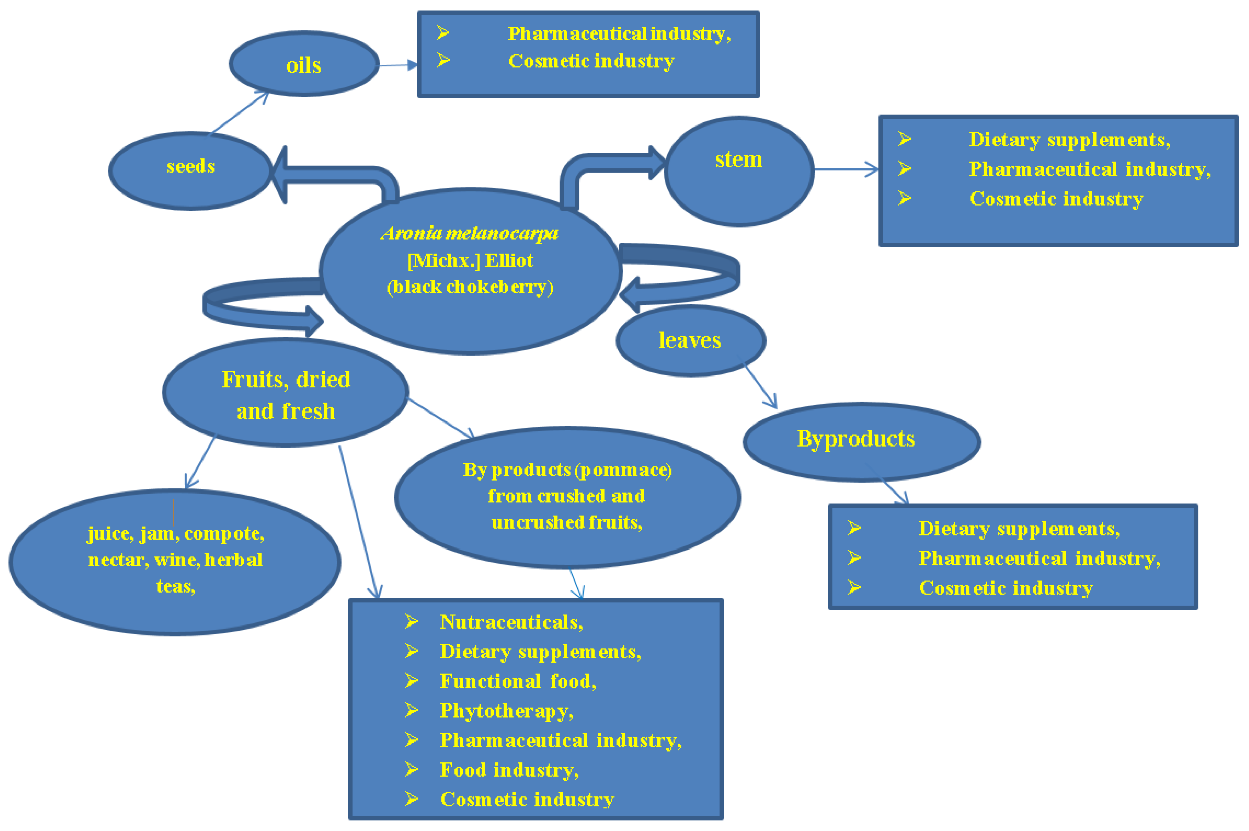 Antioxidants 12 00951 g004 Antioxidants 12 00951 g004