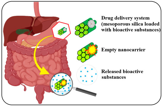 Health Benefits of Antioxidant Bioactive Compounds in the Fruits