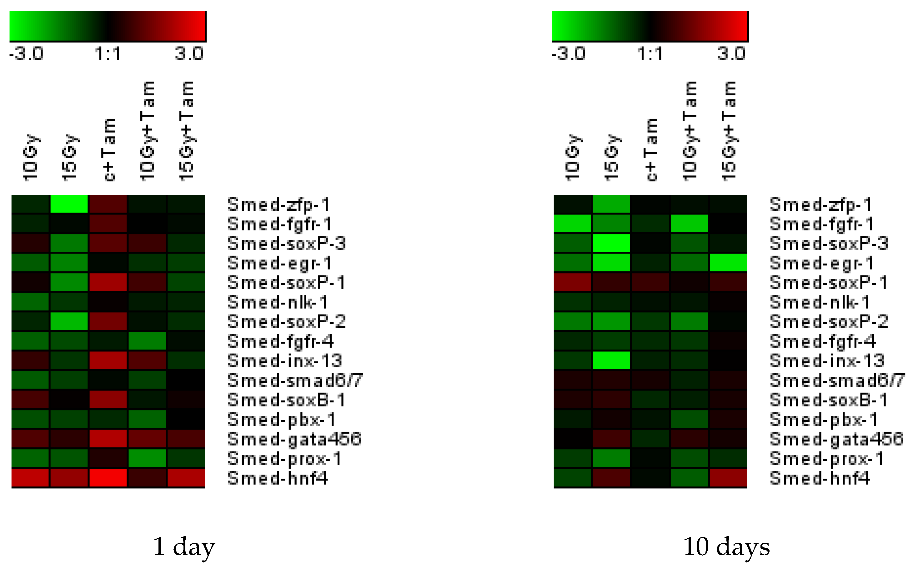 Antioxidants 12 00953 g003 Antioxidants 12 00953 g003