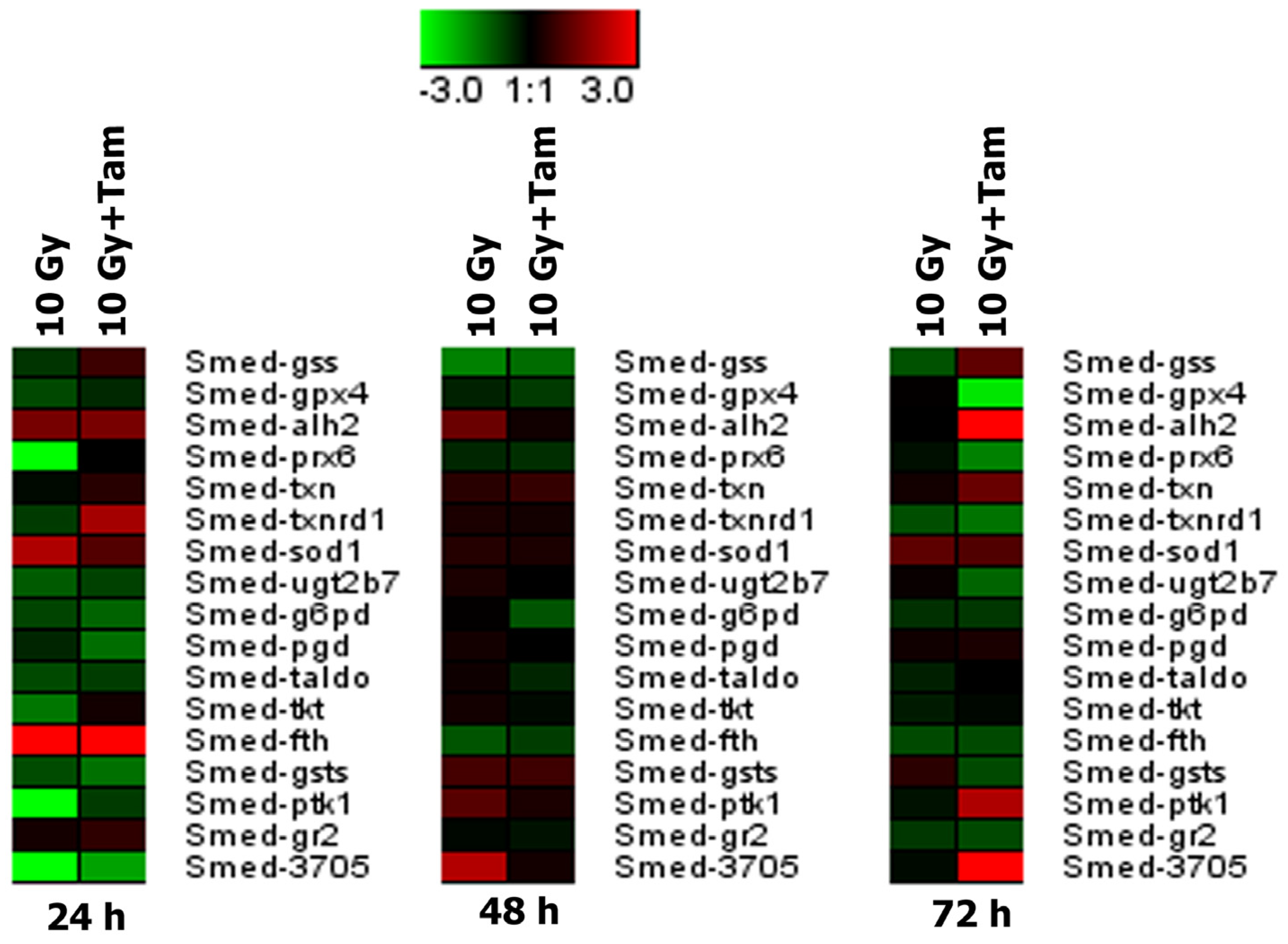 Antioxidants 12 00953 g004 Antioxidants 12 00953 g004