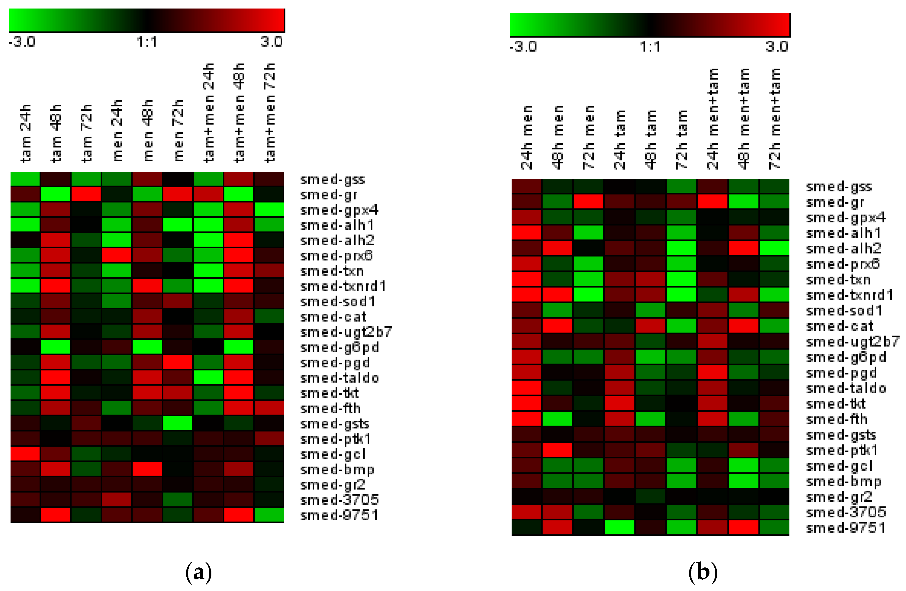 Antioxidants 12 00953 g007 Antioxidants 12 00953 g007