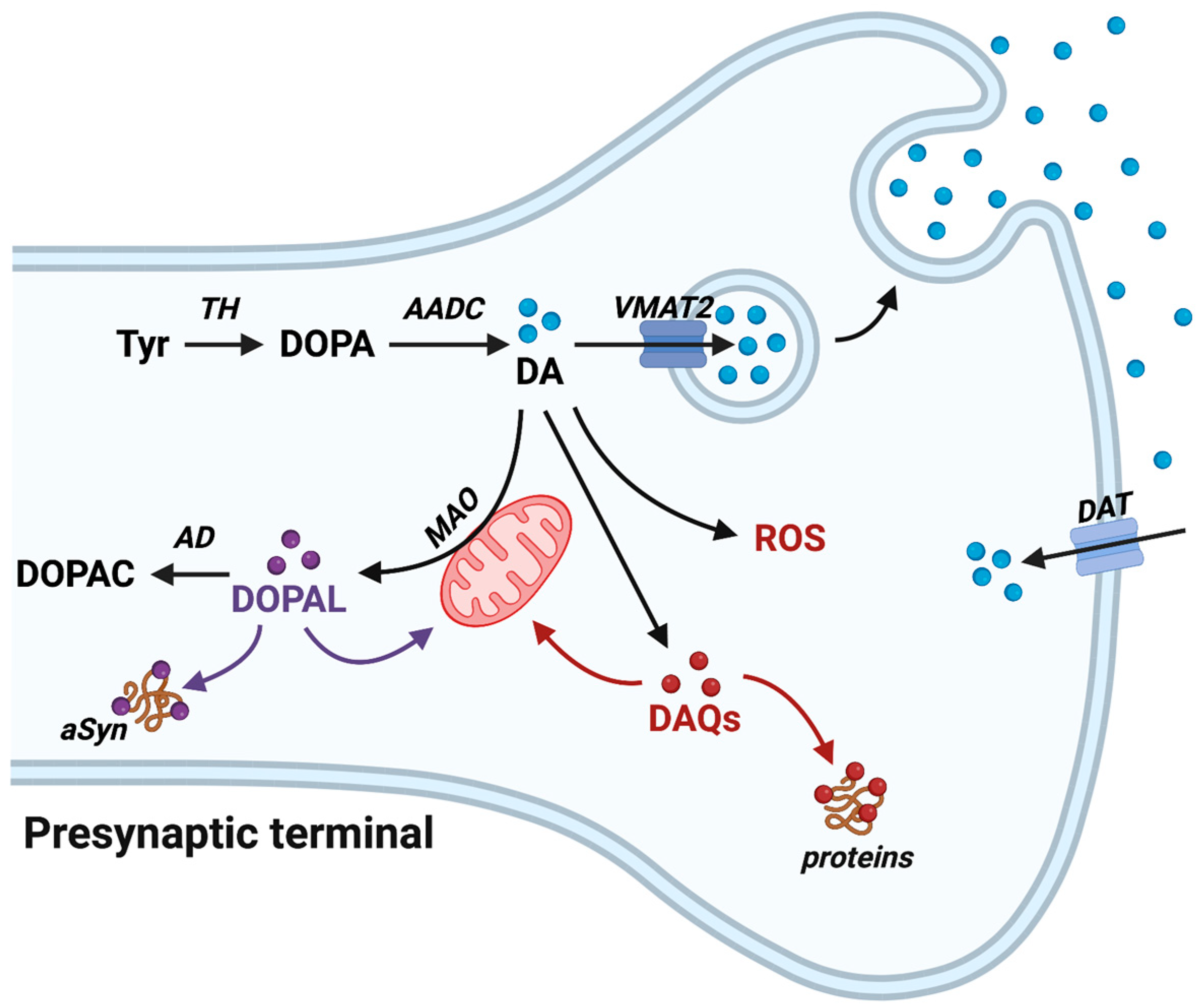 Antioxidants 12 00955 g002