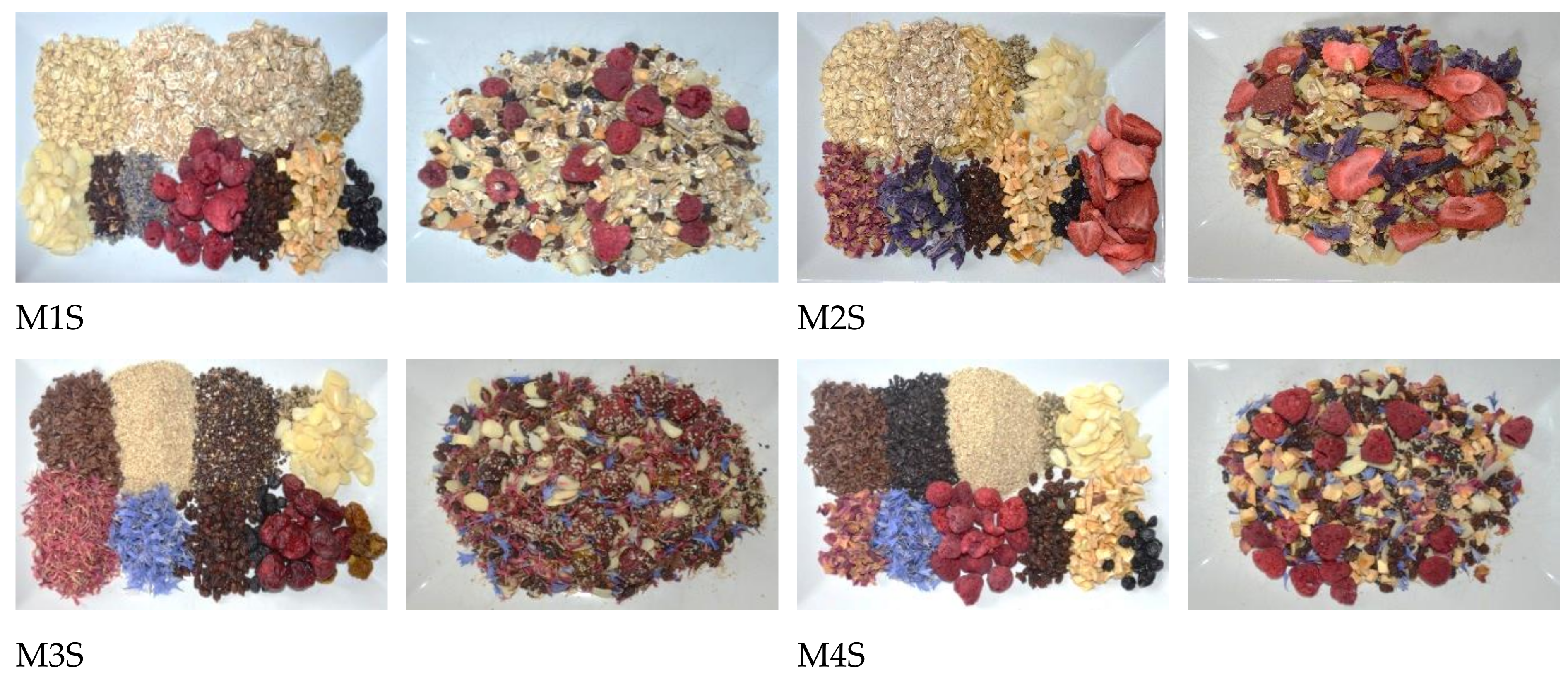 Antioxidants 12 00962 g001 Antioxidants 12 00962 g001