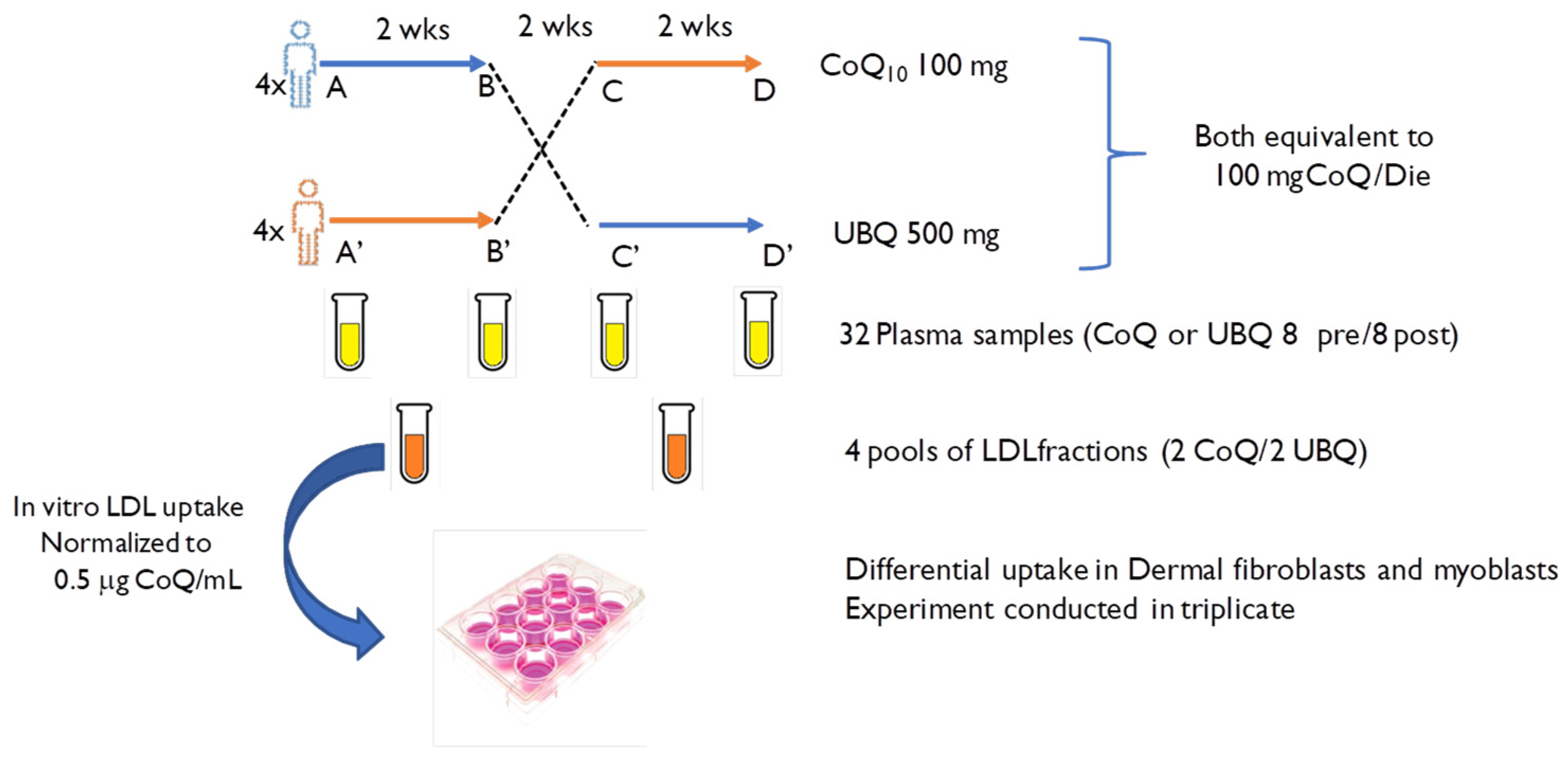 Antioxidants 12 00964 g002