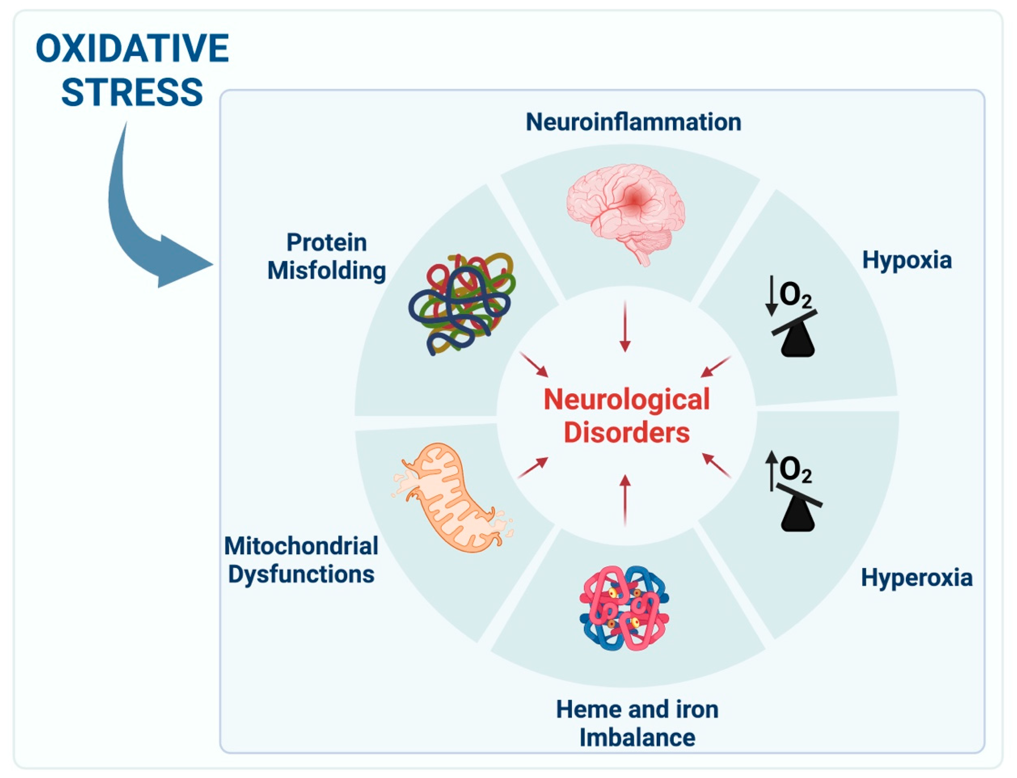 Decoding Minds: Navigating Neurological Diagnoses