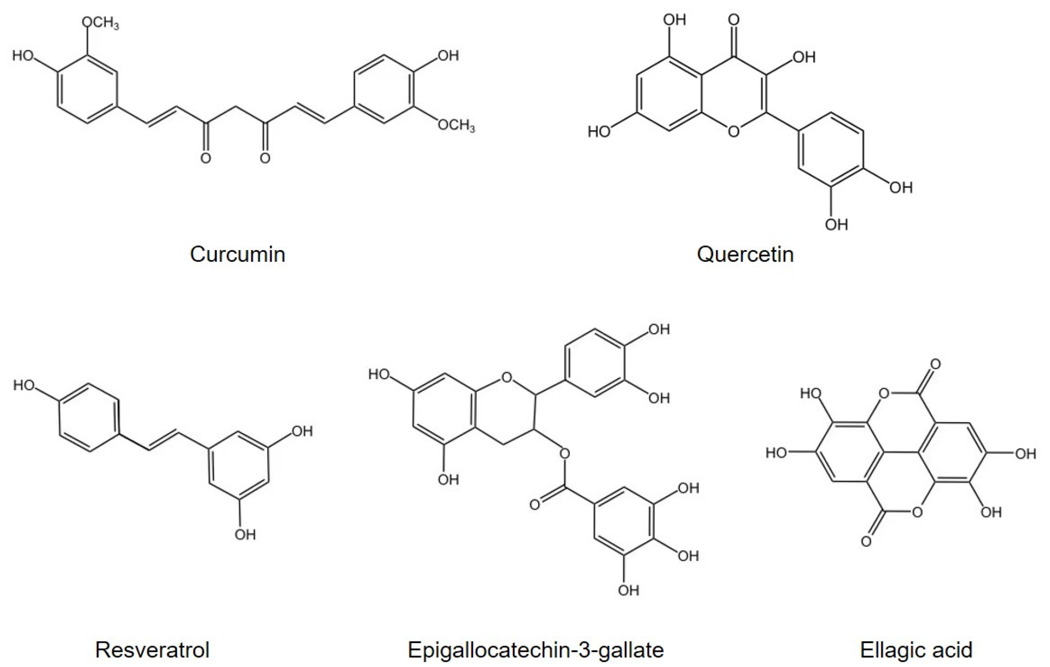 Antioxidants 12 00967 g002 Antioxidants 12 00967 g002