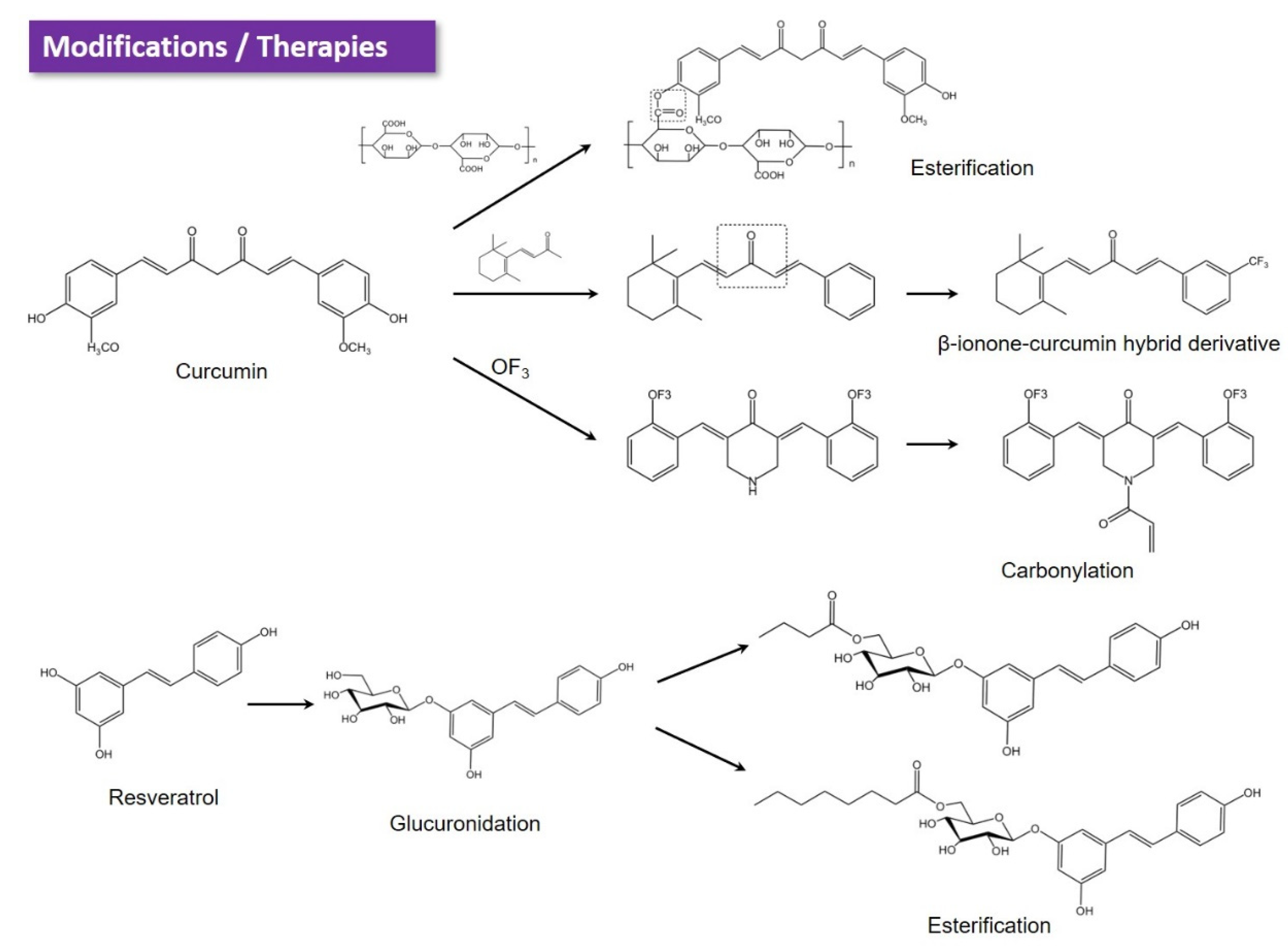 Antioxidants 12 00967 g005 Antioxidants 12 00967 g005