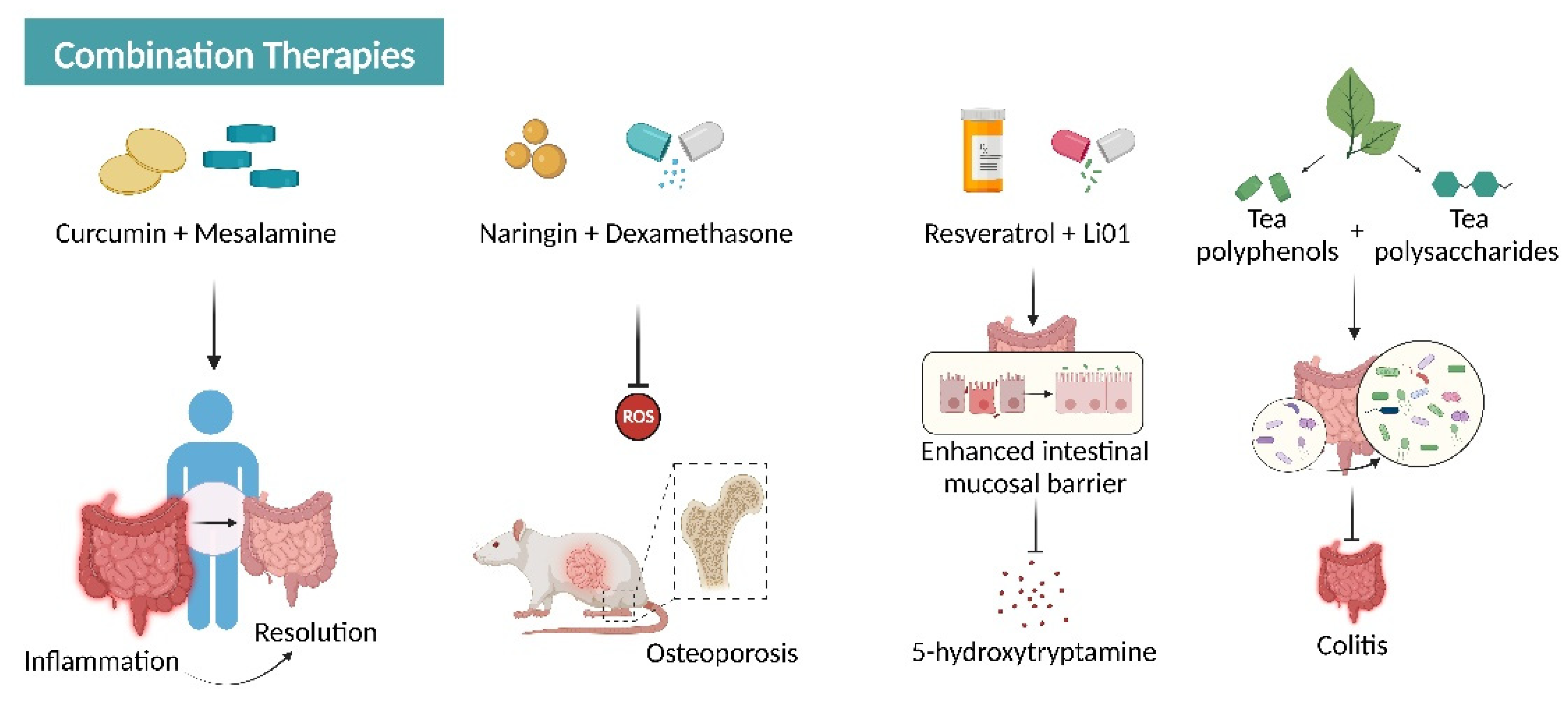 Antioxidants 12 00967 g007 Antioxidants 12 00967 g007