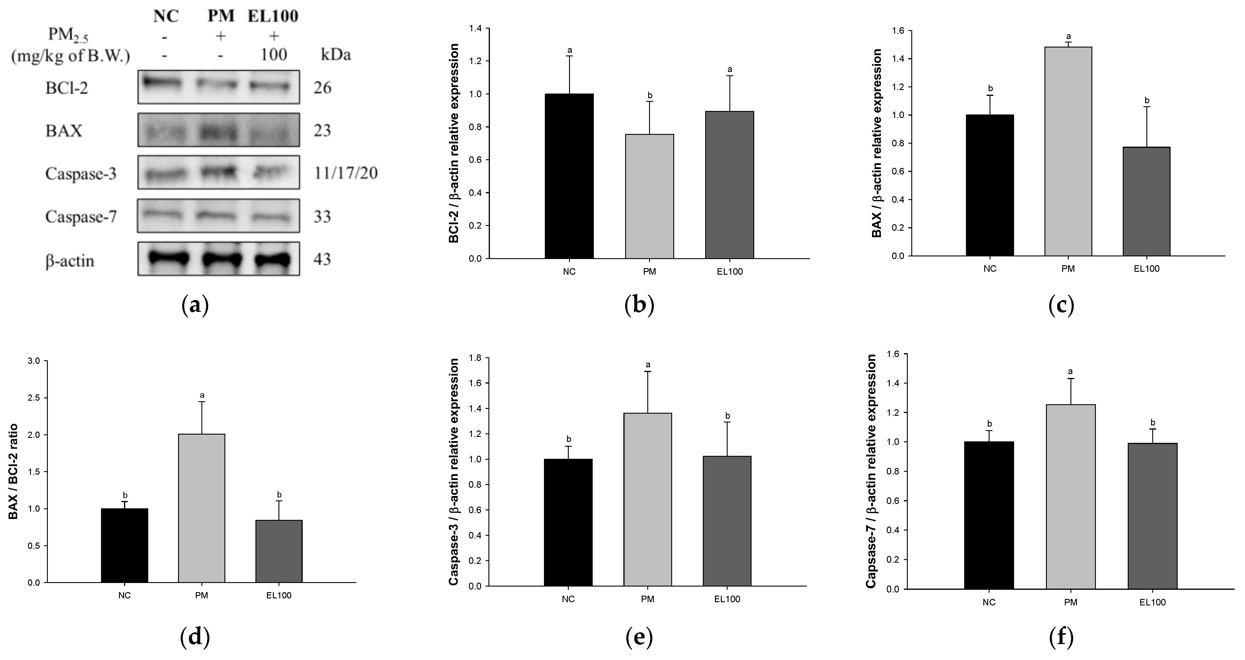 Antioxidants 12 00968 g007 Antioxidants 12 00968 g007