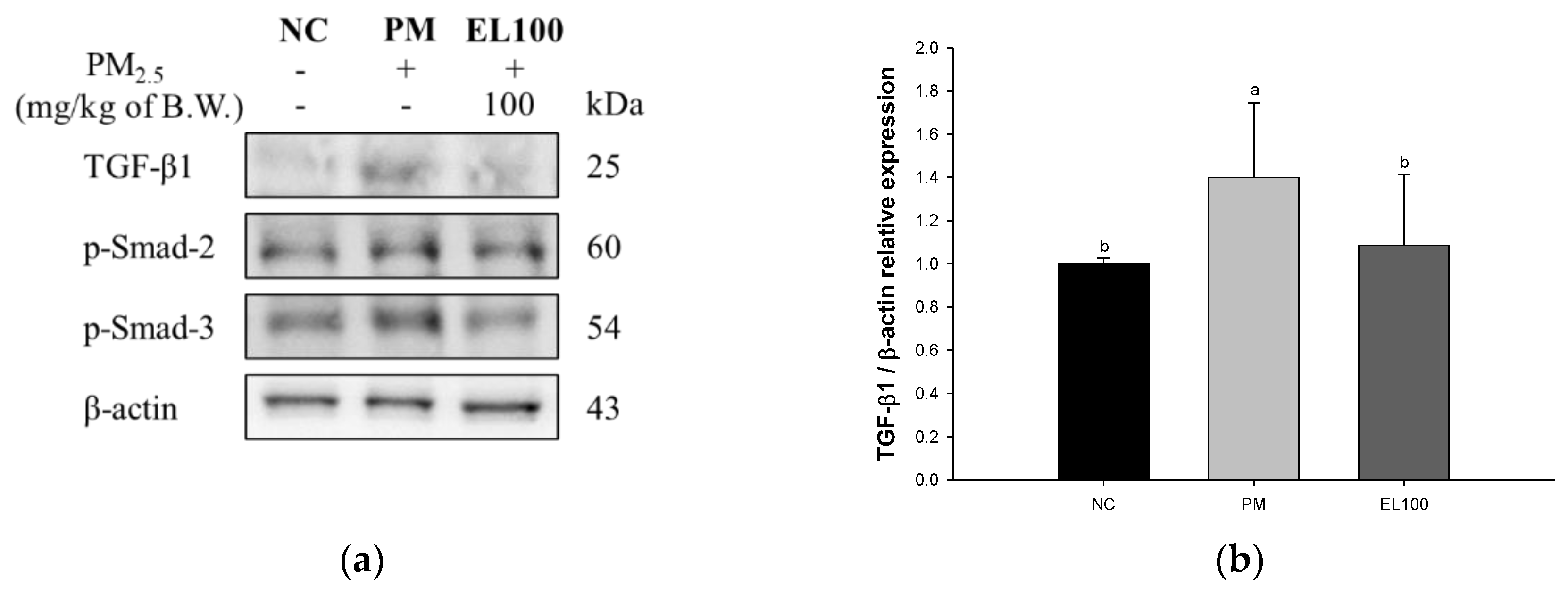 Antioxidants 12 00968 g008a Antioxidants 12 00968 g008a