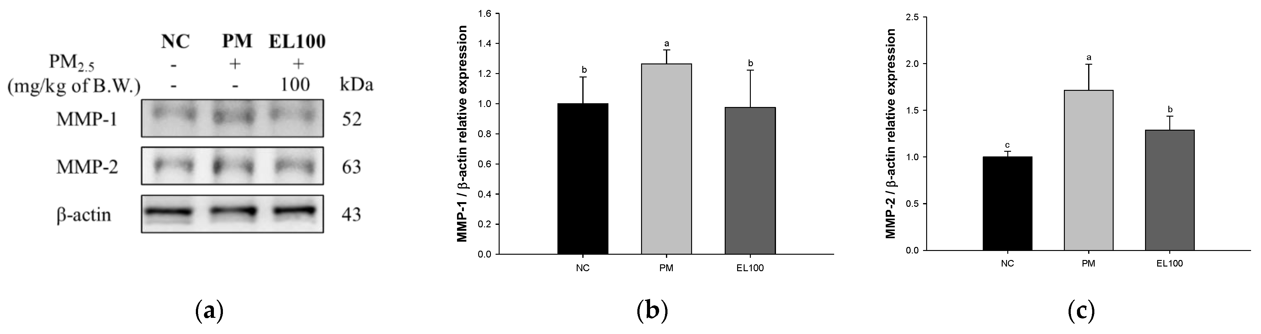 Antioxidants 12 00968 g009 Antioxidants 12 00968 g009