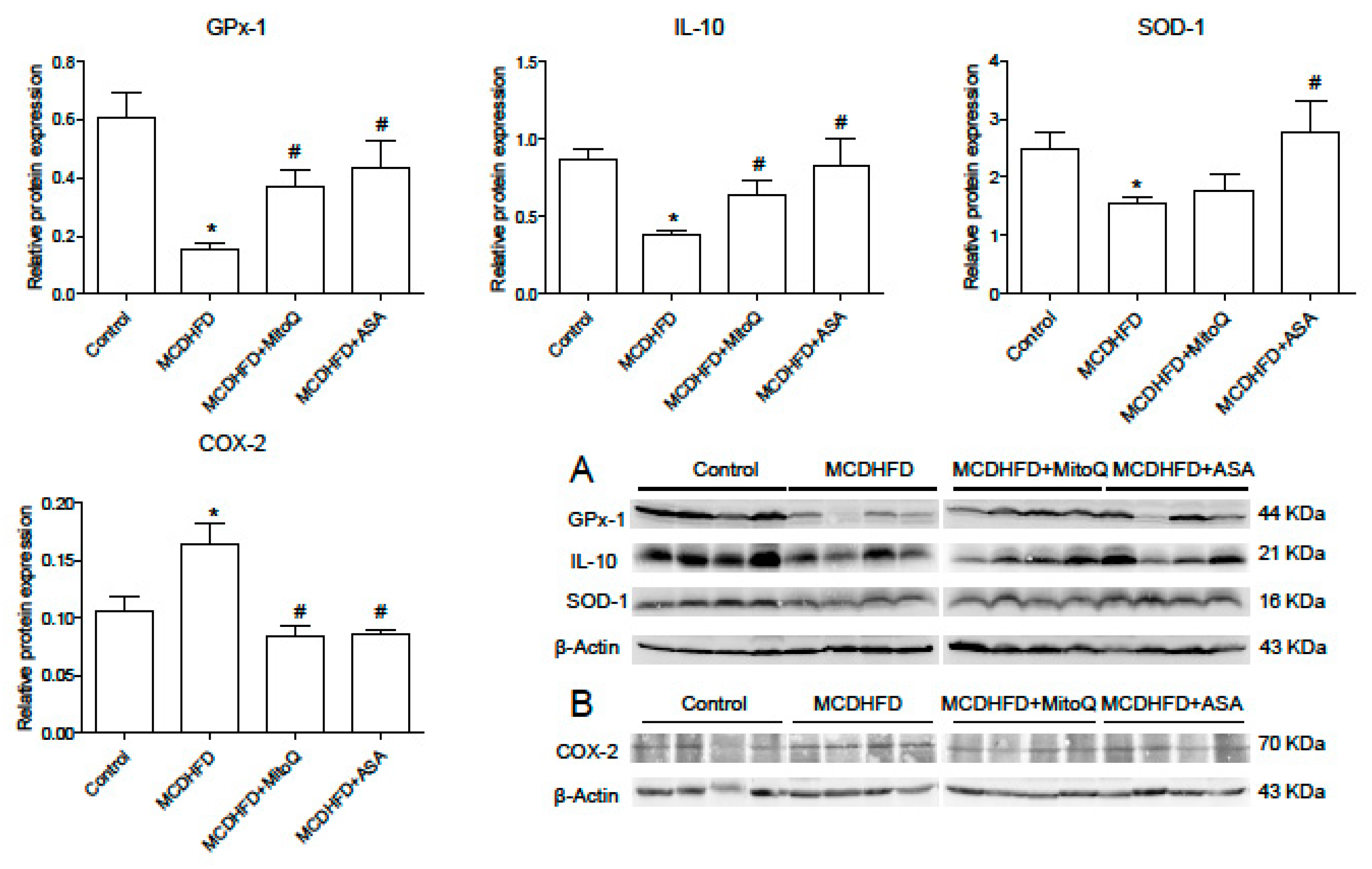 Antioxidants 12 00971 g005