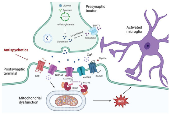 Schizophrenia Synaptic Pathology and Antipsychotic Treatment