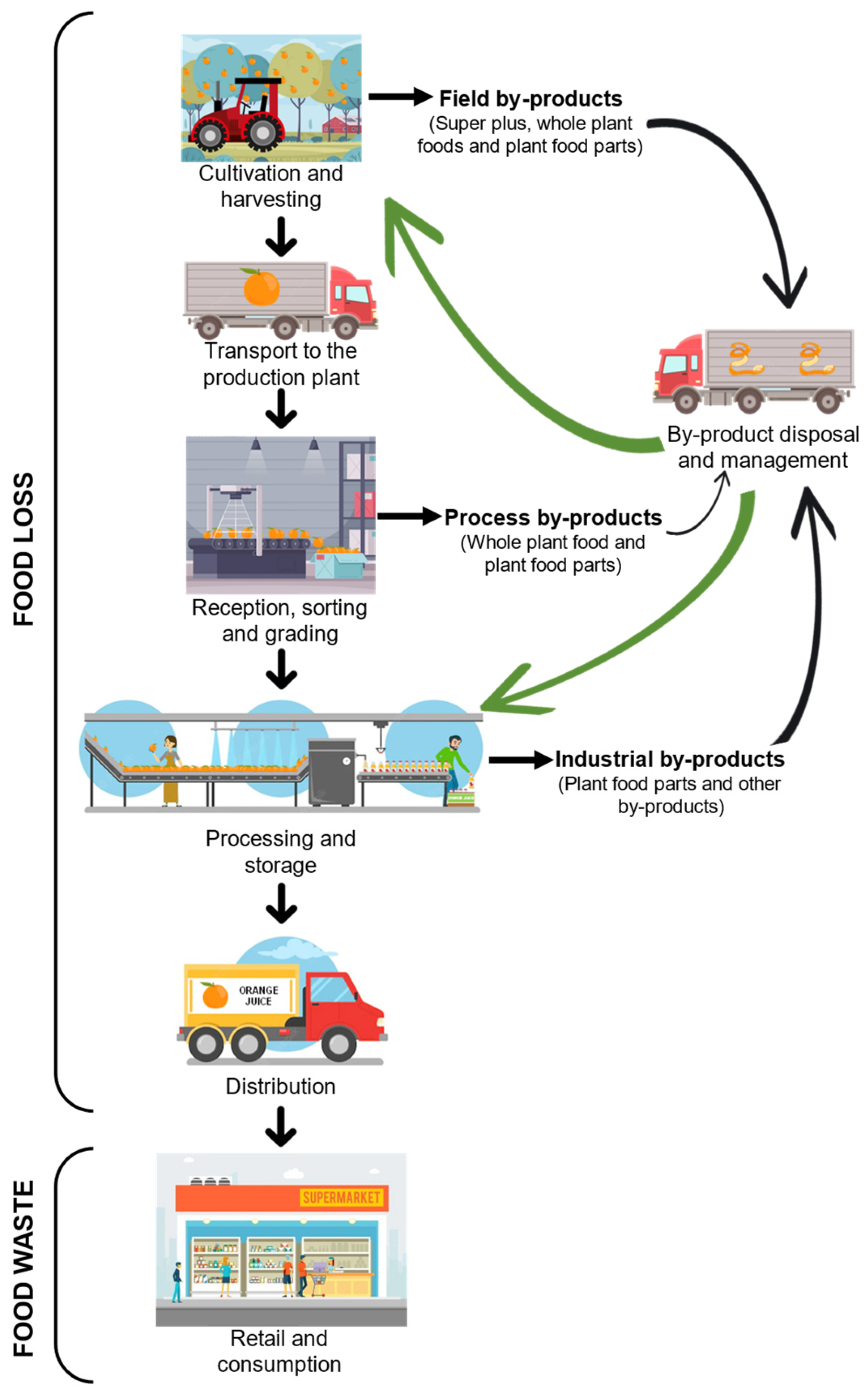 Antioxidants 12 00976 g001