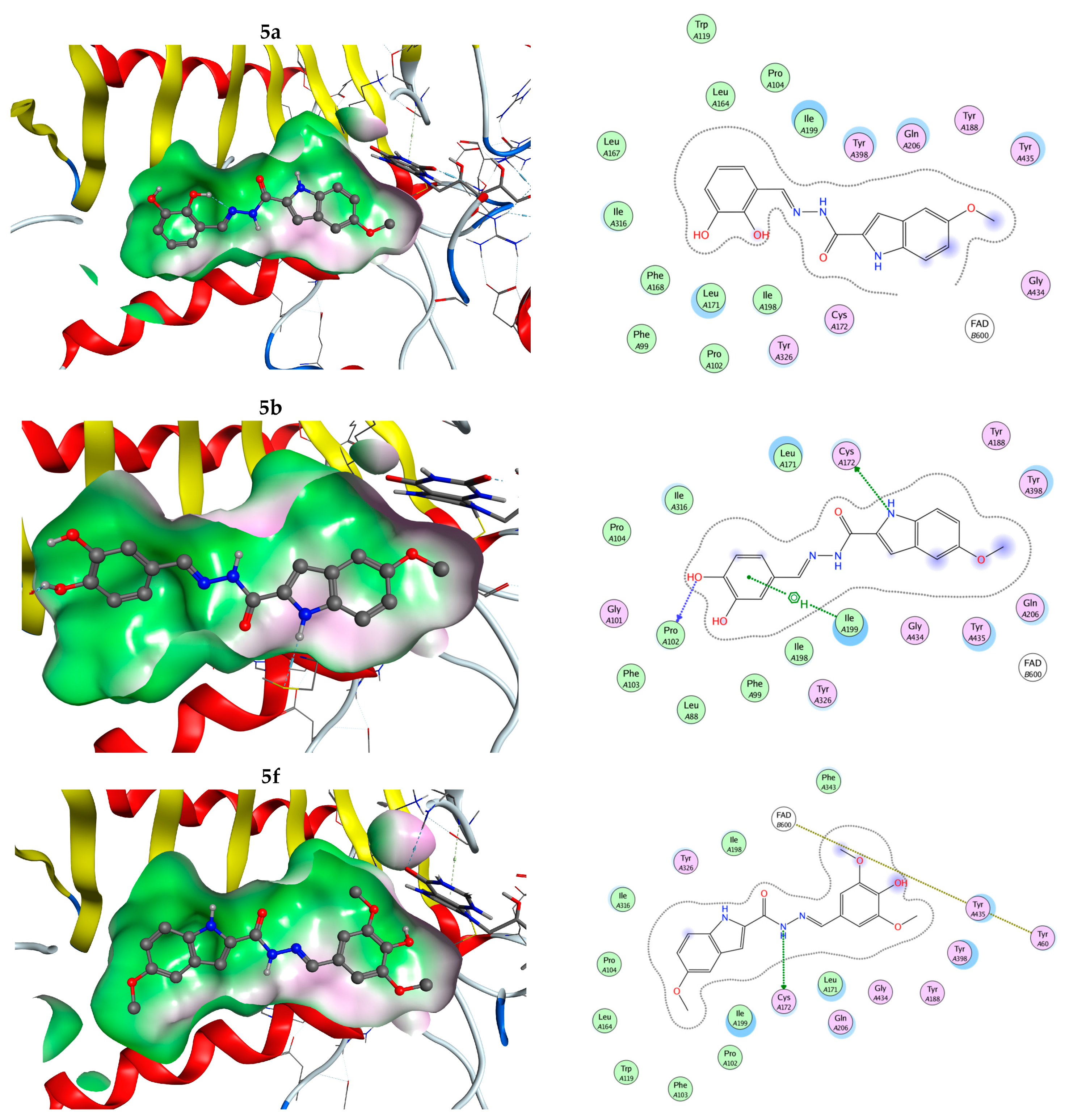 Antioxidants 12 00977 g010b Antioxidants 12 00977 g010b