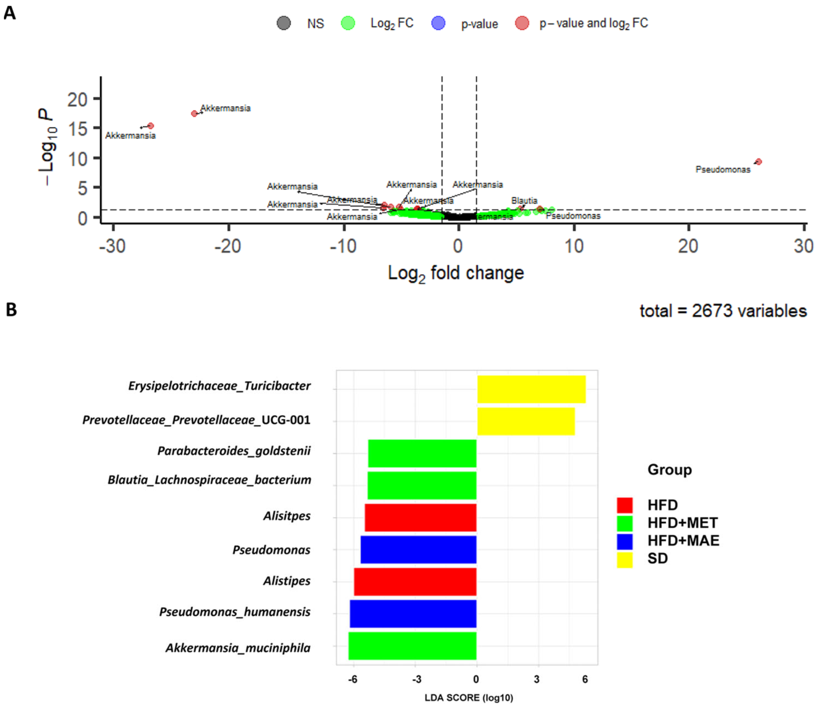 Antioxidants 12 00978 g008 Antioxidants 12 00978 g008