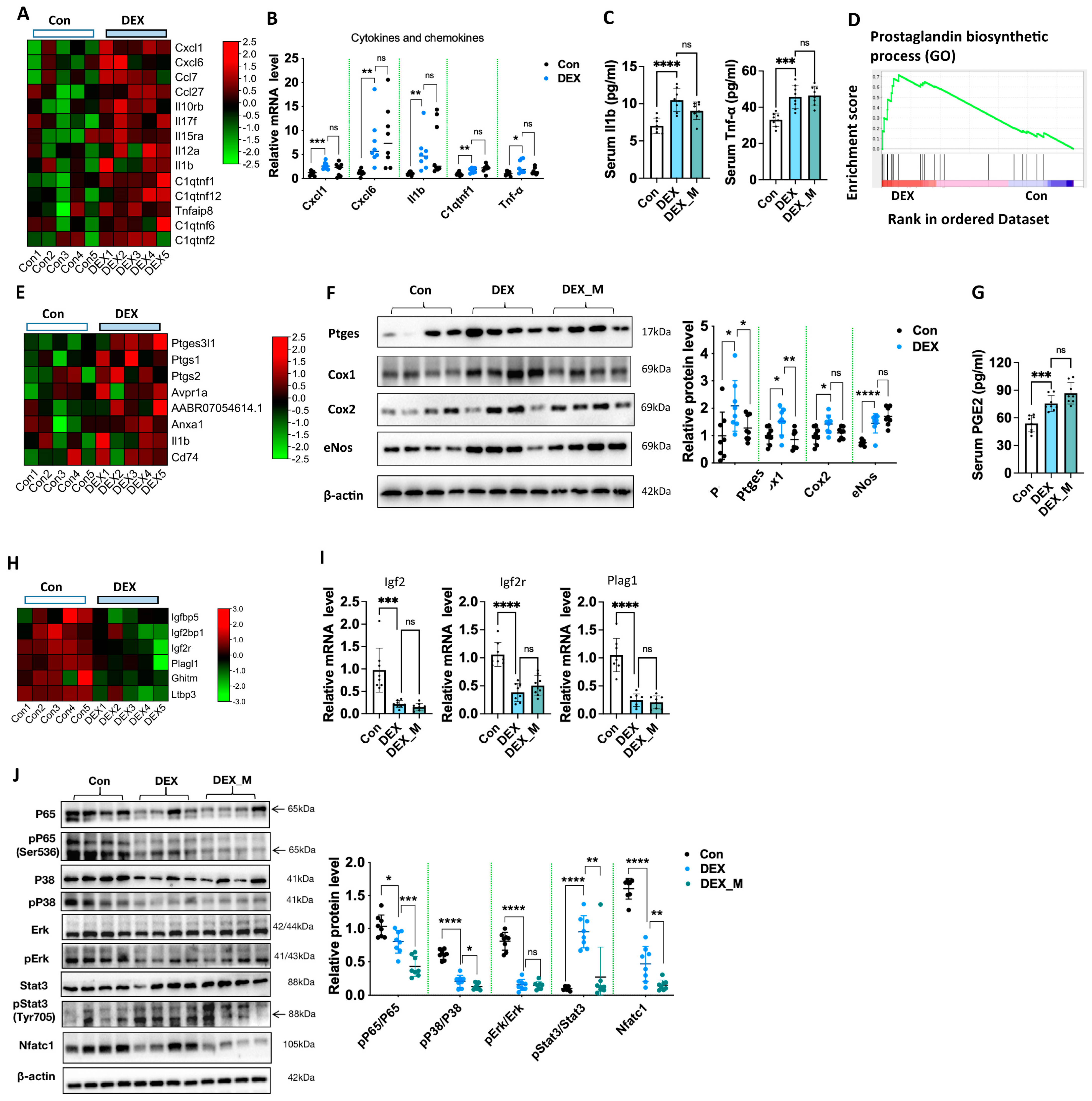 Antioxidants 12 00987 g007 Antioxidants 12 00987 g007