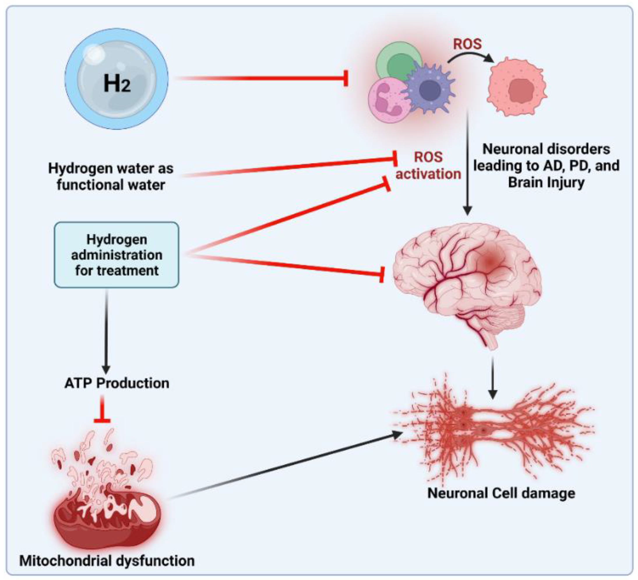 Antioxidants Free FullText RedoxMechanisms of Molecular Hydrogen
