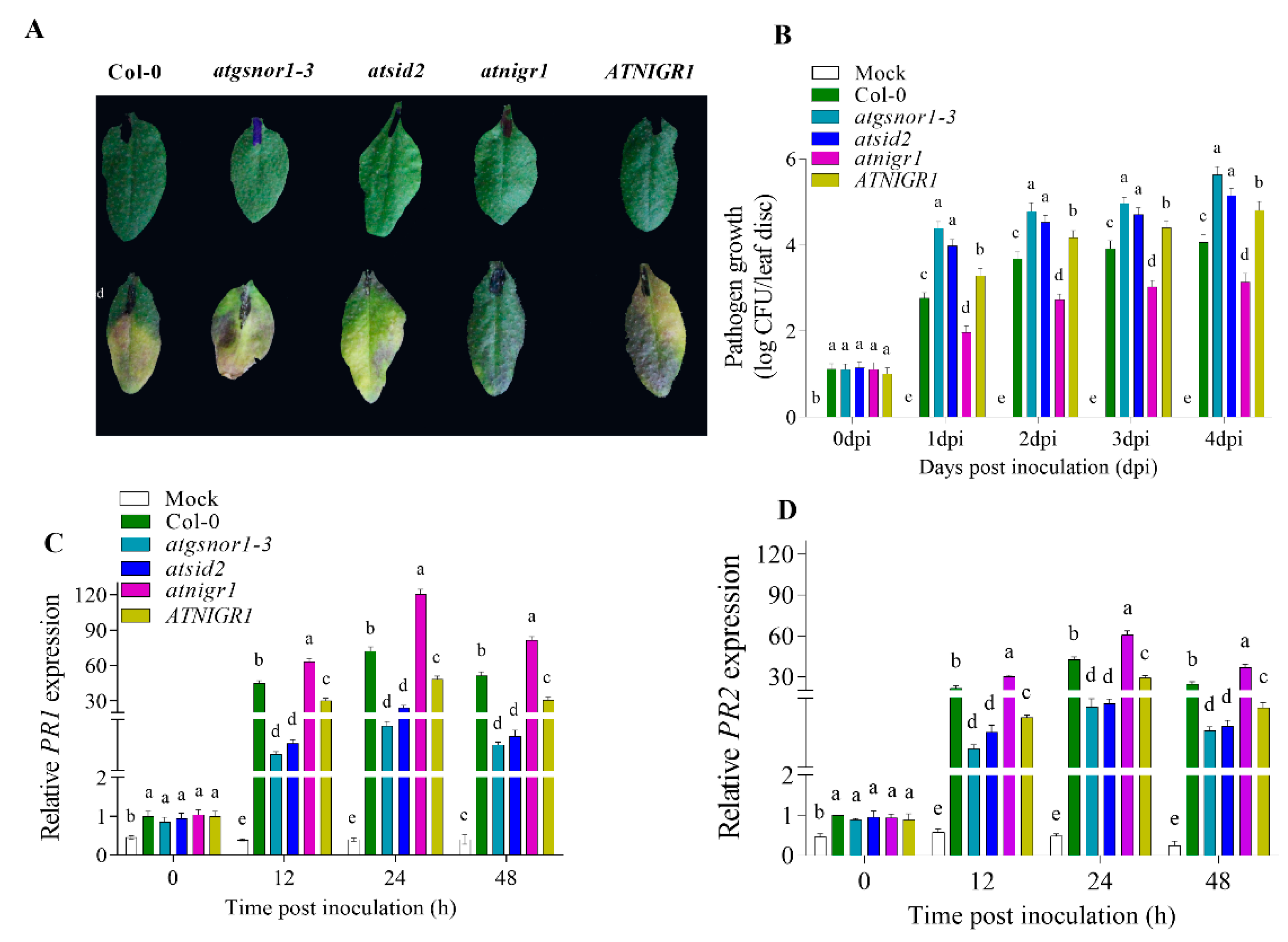 Antioxidants 12 00989 g002