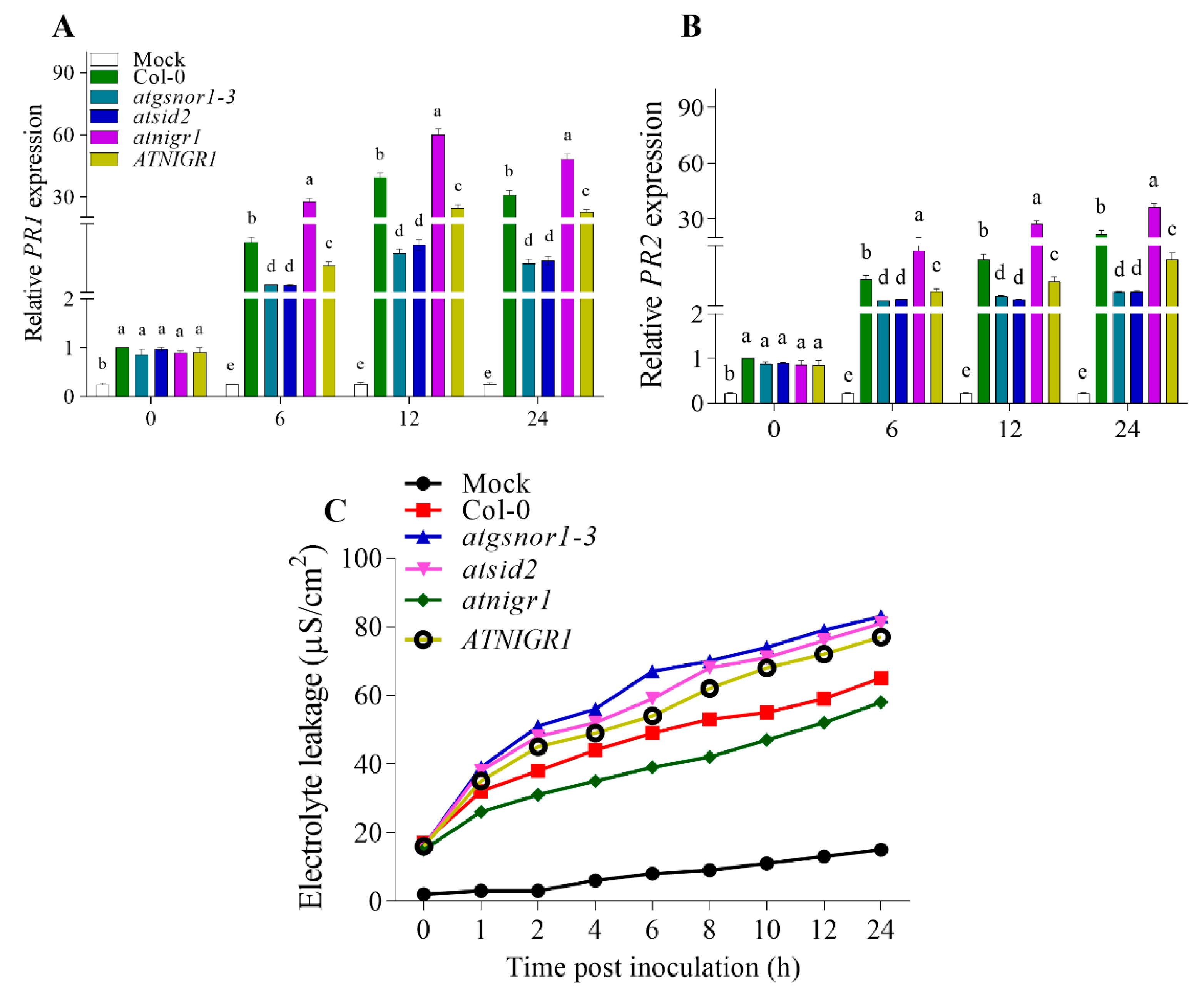 Antioxidants 12 00989 g003