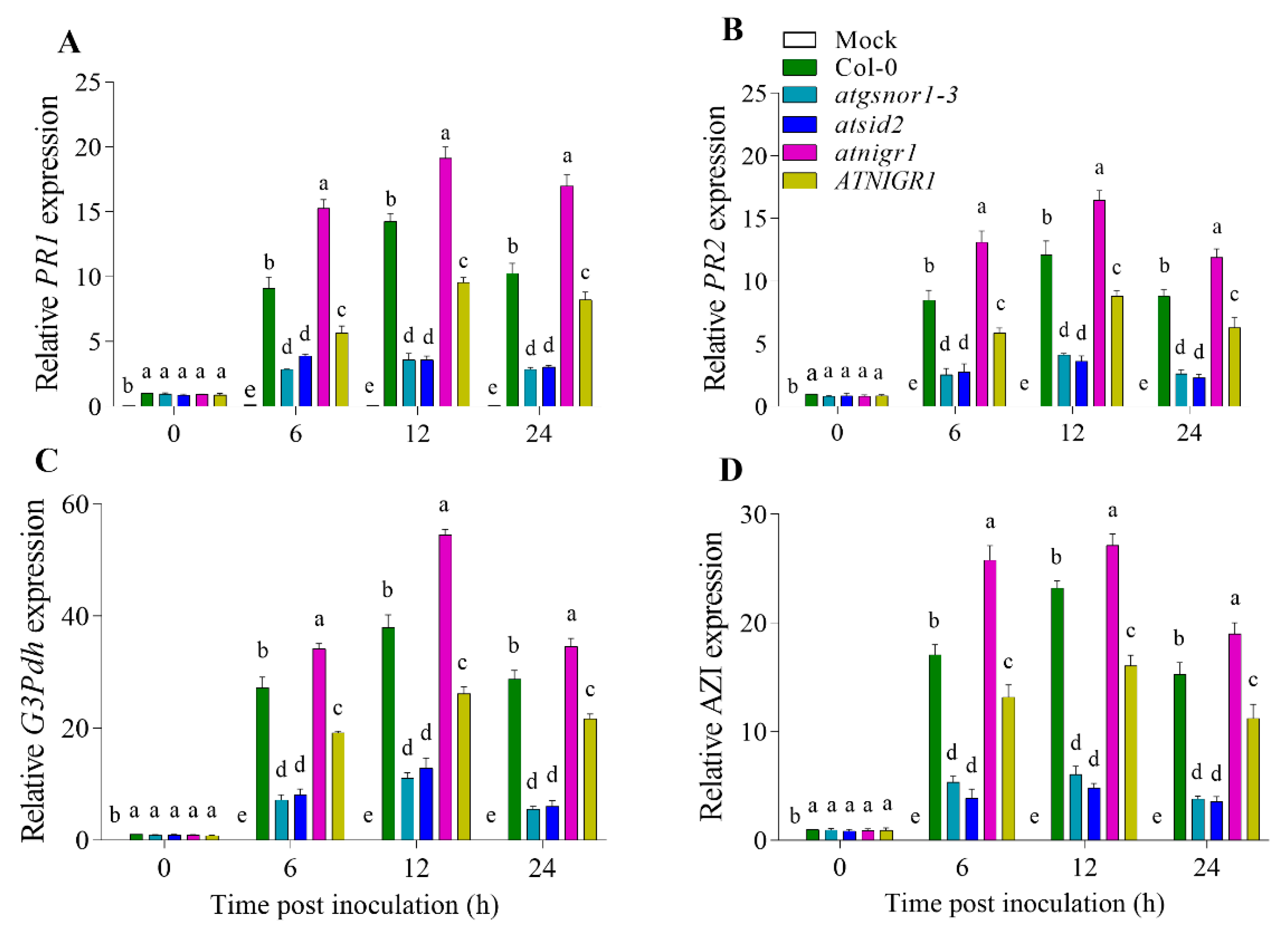 Antioxidants 12 00989 g004