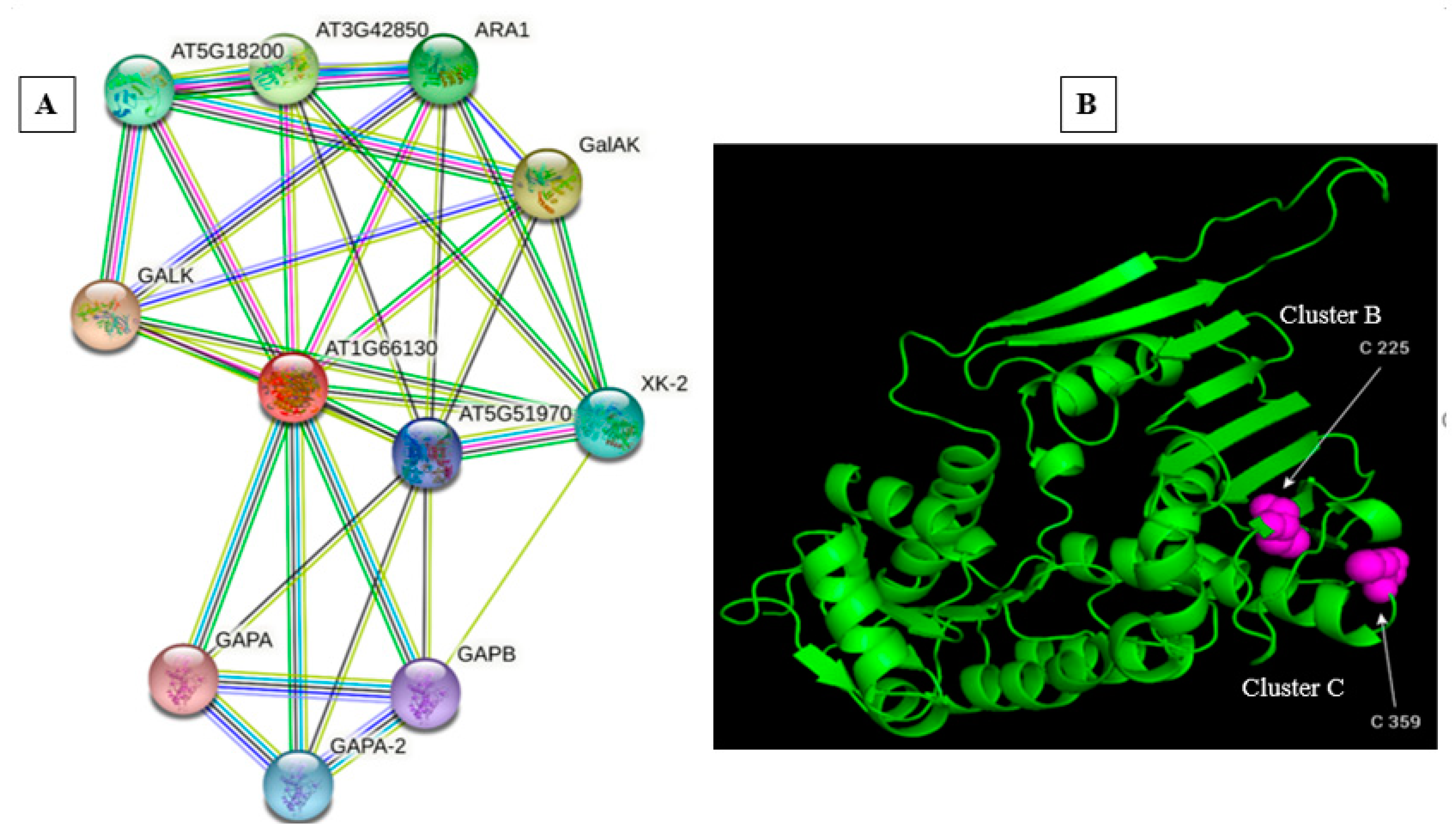 Antioxidants 12 00989 g005