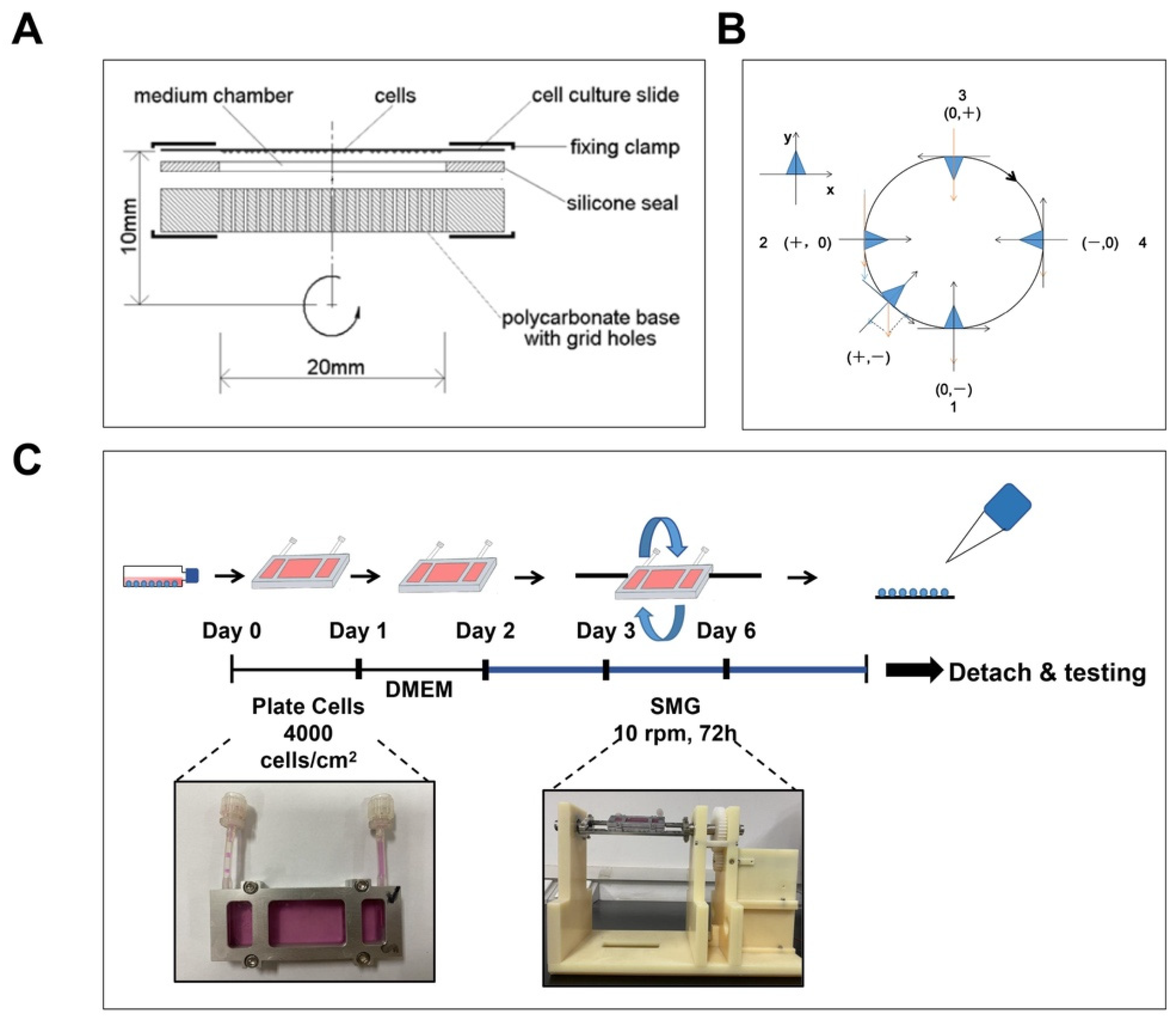 Antioxidants 12 00990 g001 Antioxidants 12 00990 g001