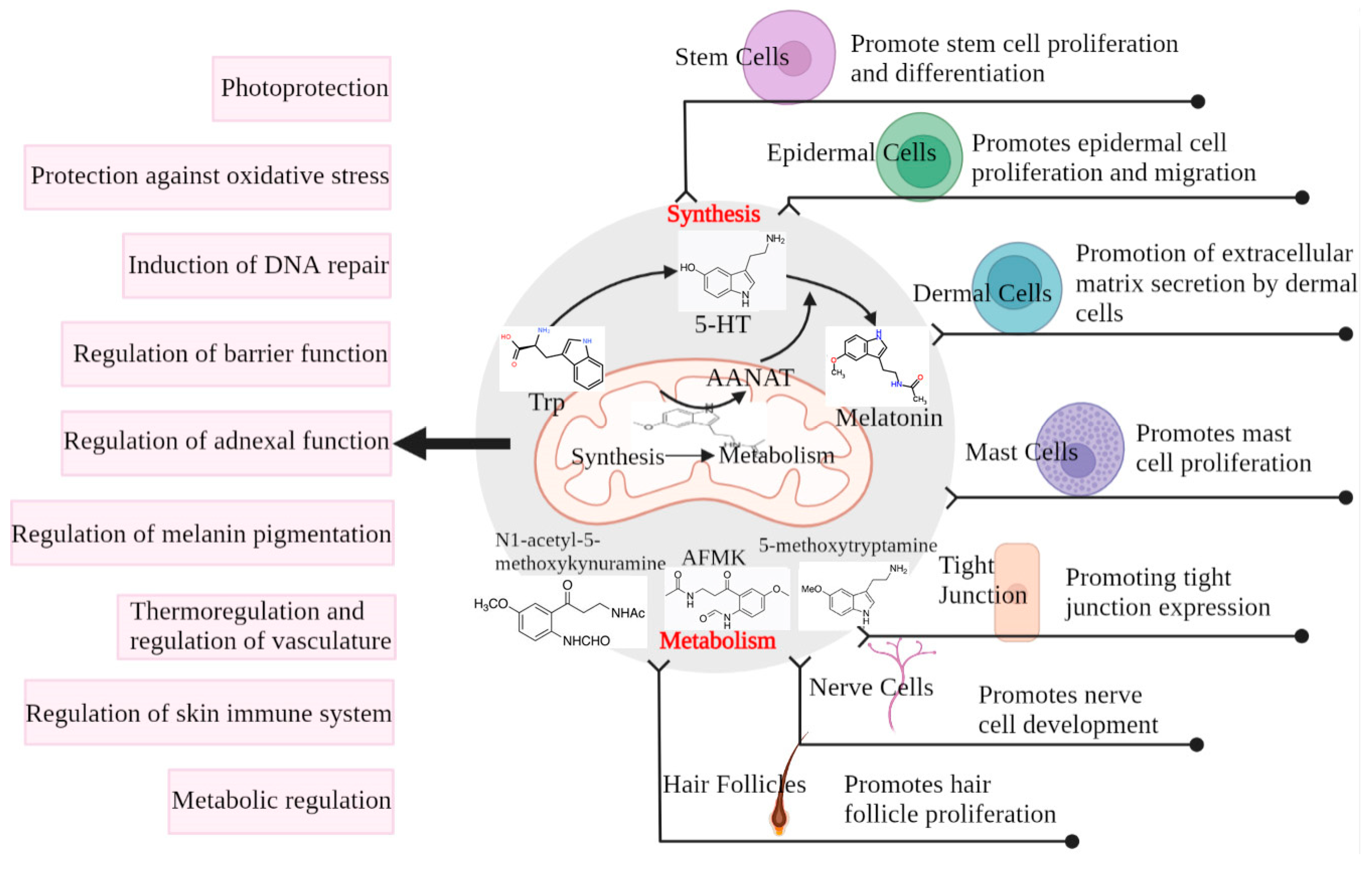 Antioxidants, Free Full-Text