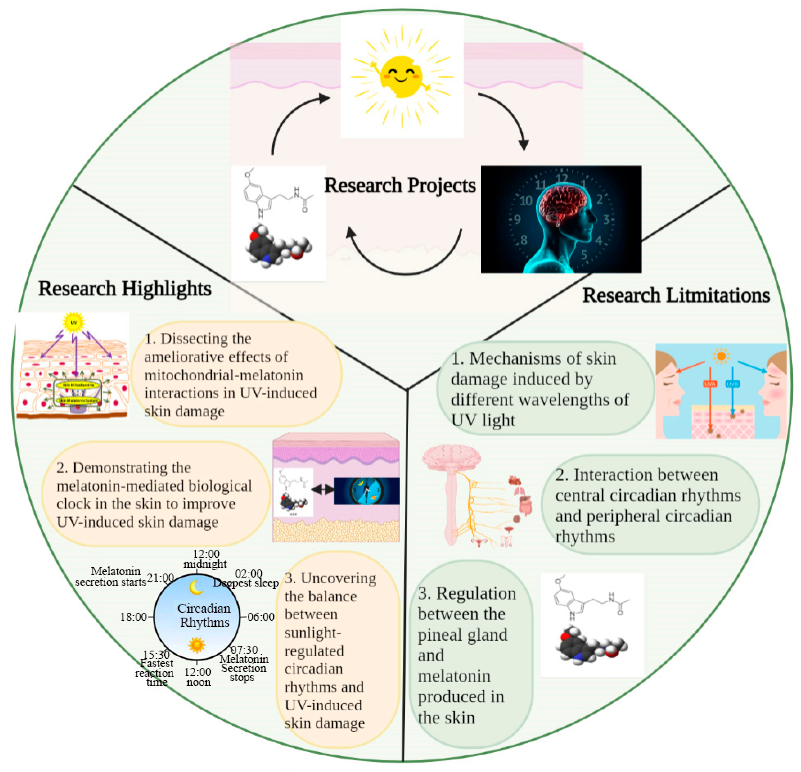 Antioxidants 12 01000 g004 Antioxidants 12 01000 g004