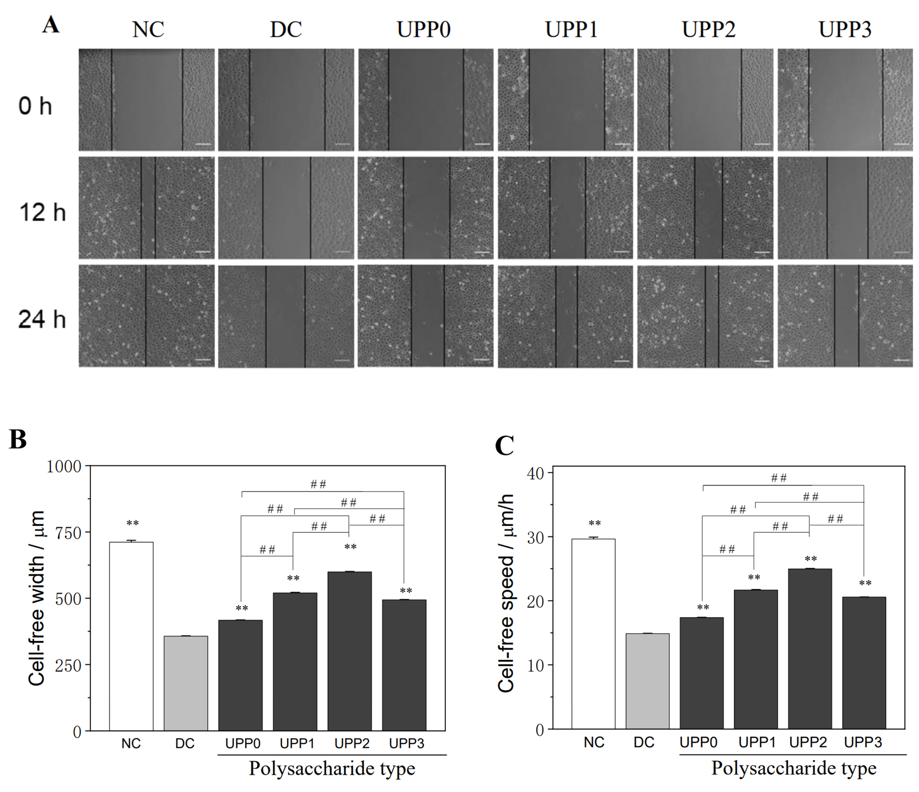 Antioxidants 12 01015 g003