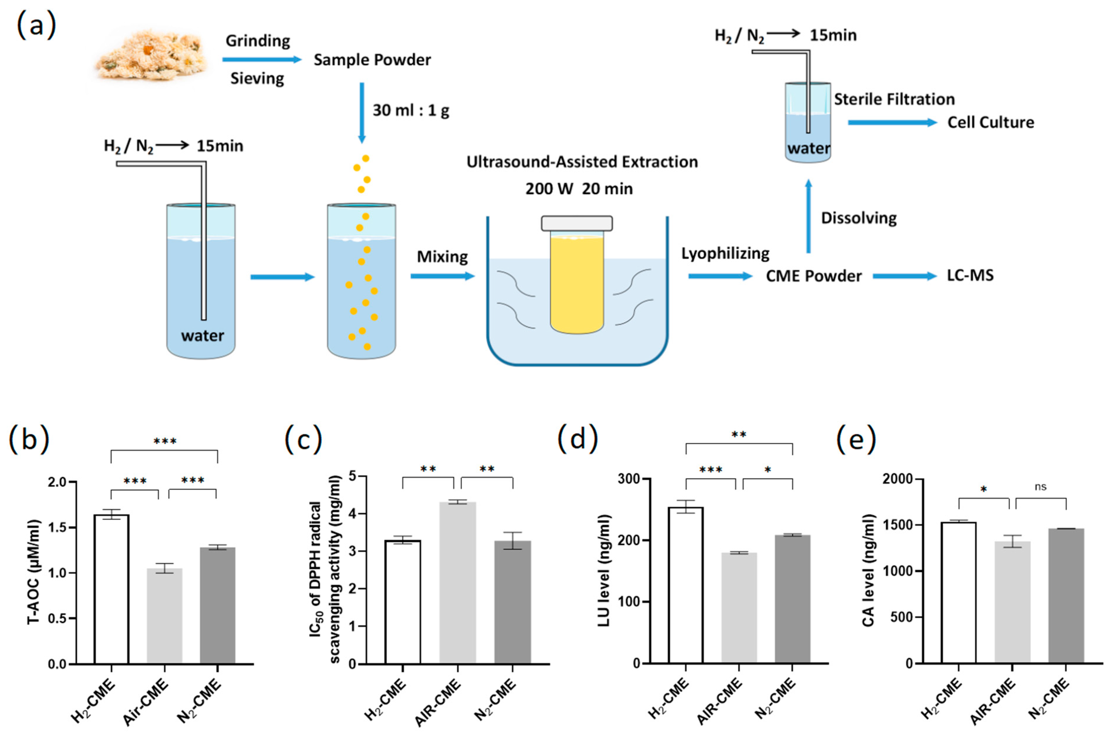 Antioxidants 12 01019 g001 Antioxidants 12 01019 g001