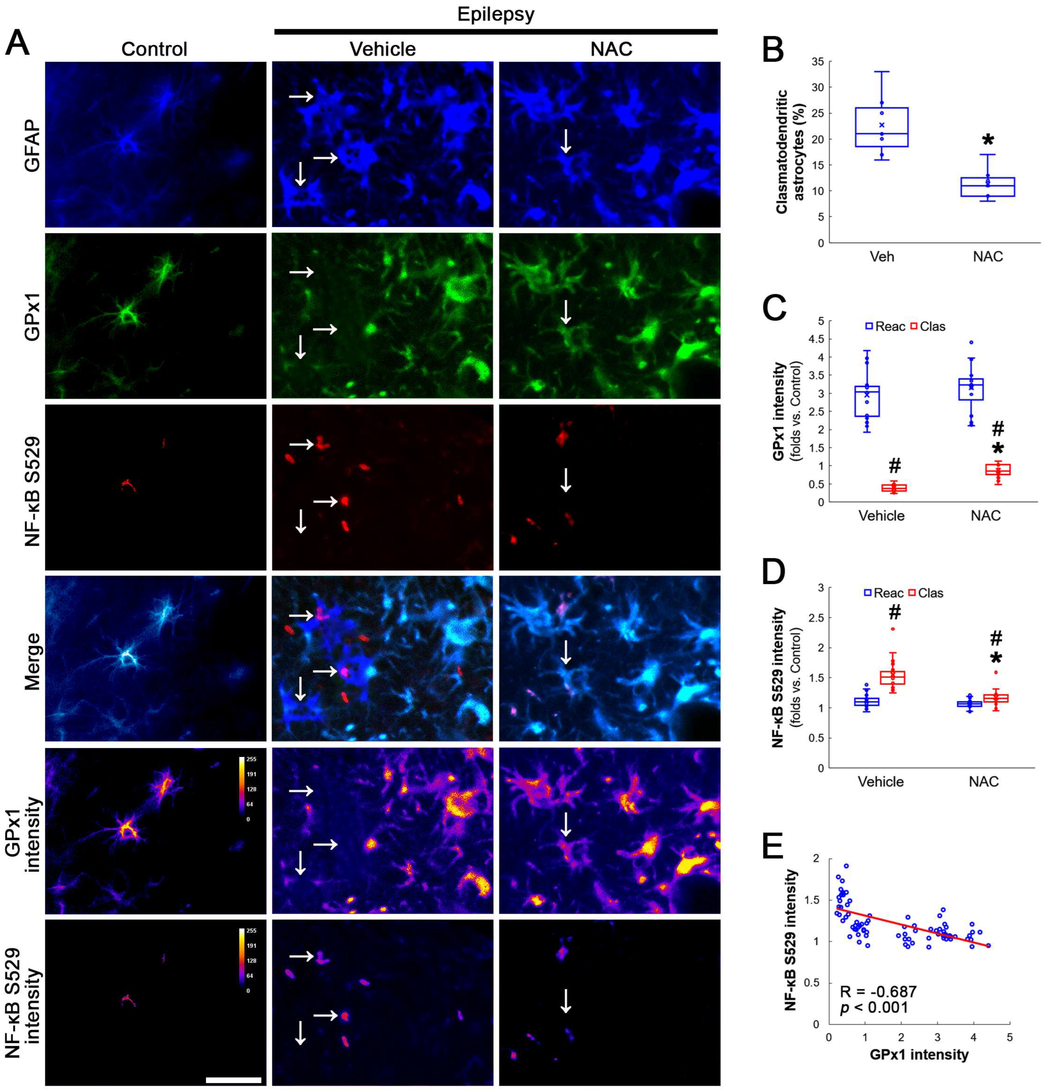 Antioxidants 12 01020 g001 Antioxidants 12 01020 g001