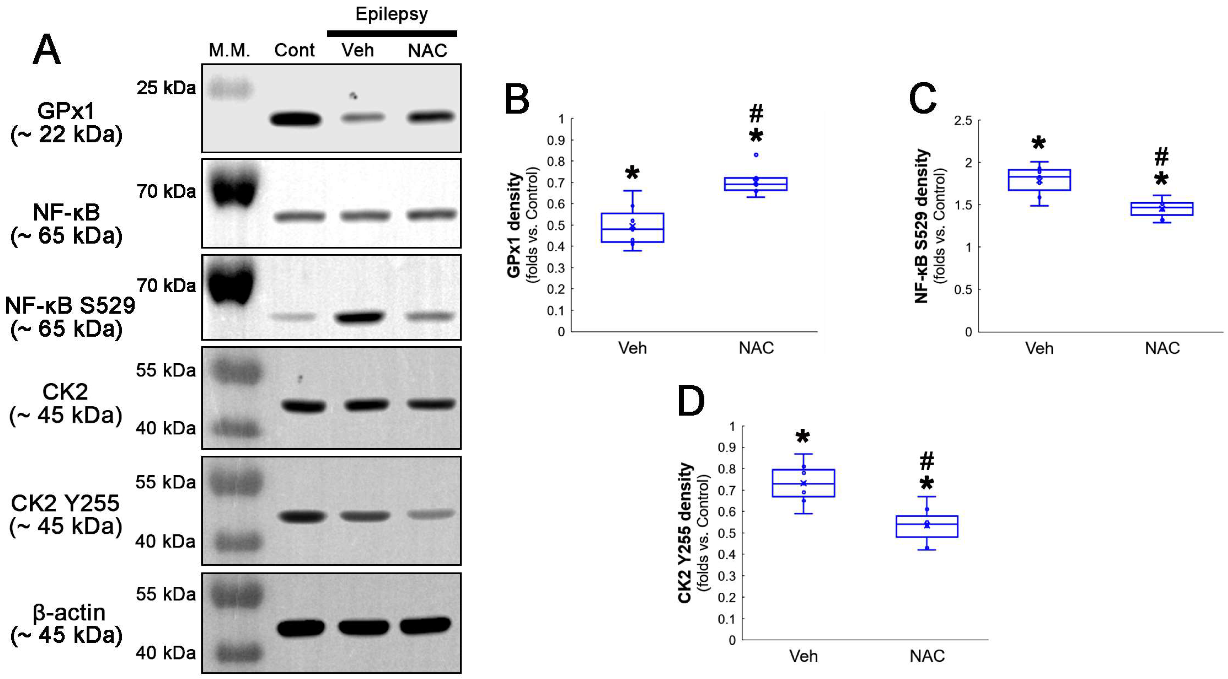 Antioxidants 12 01020 g002 Antioxidants 12 01020 g002