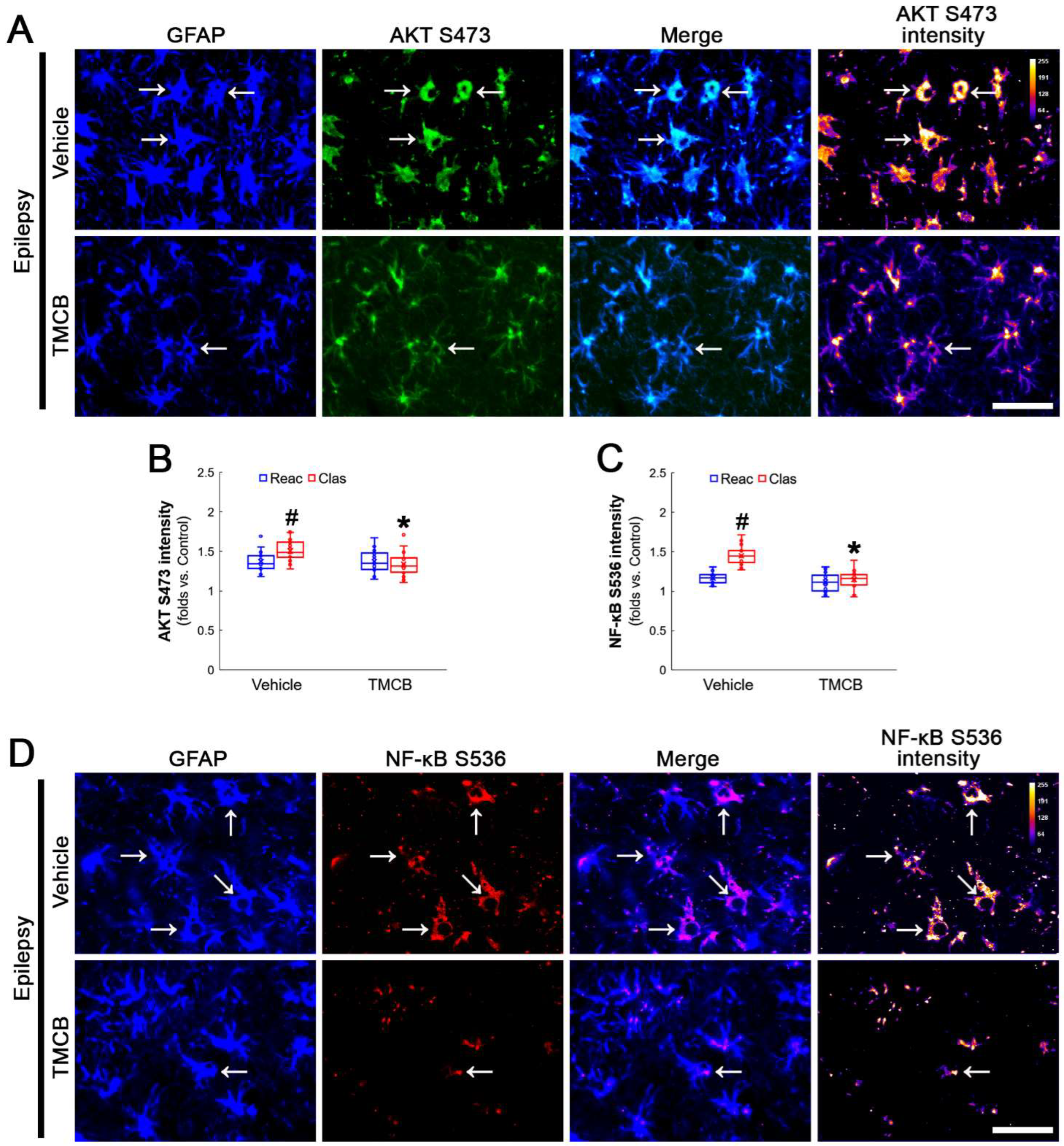 Antioxidants 12 01020 g007 Antioxidants 12 01020 g007