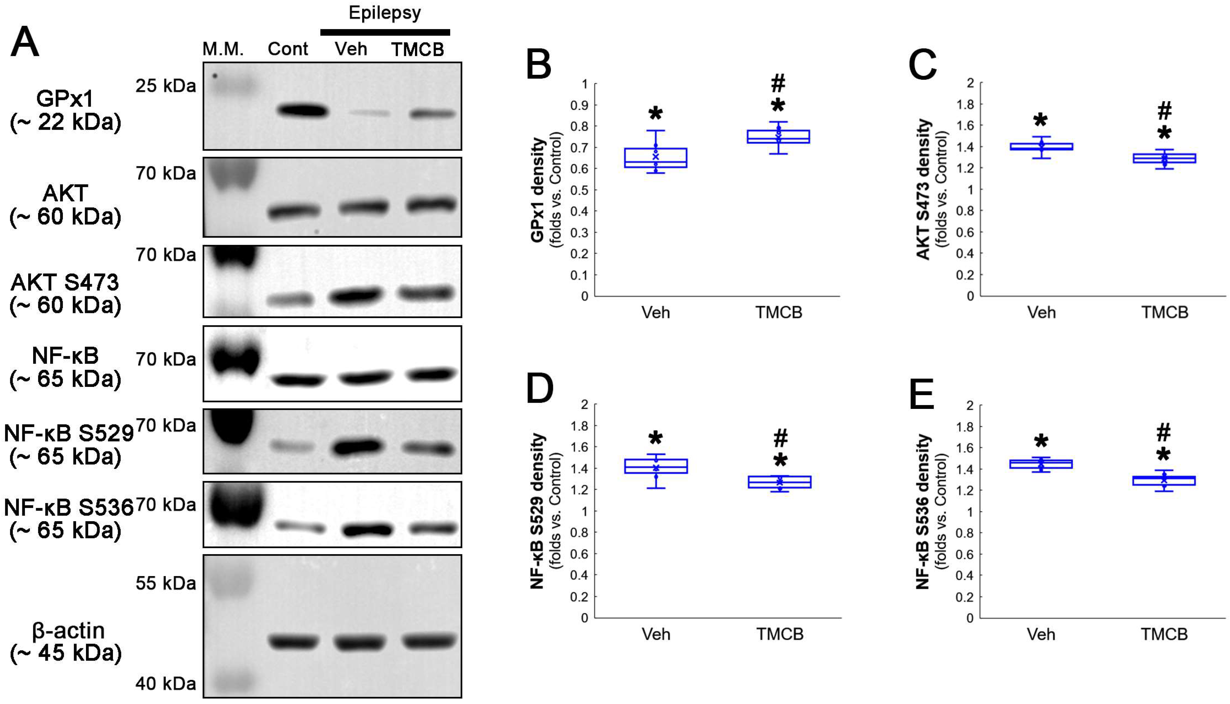 Antioxidants 12 01020 g008 Antioxidants 12 01020 g008