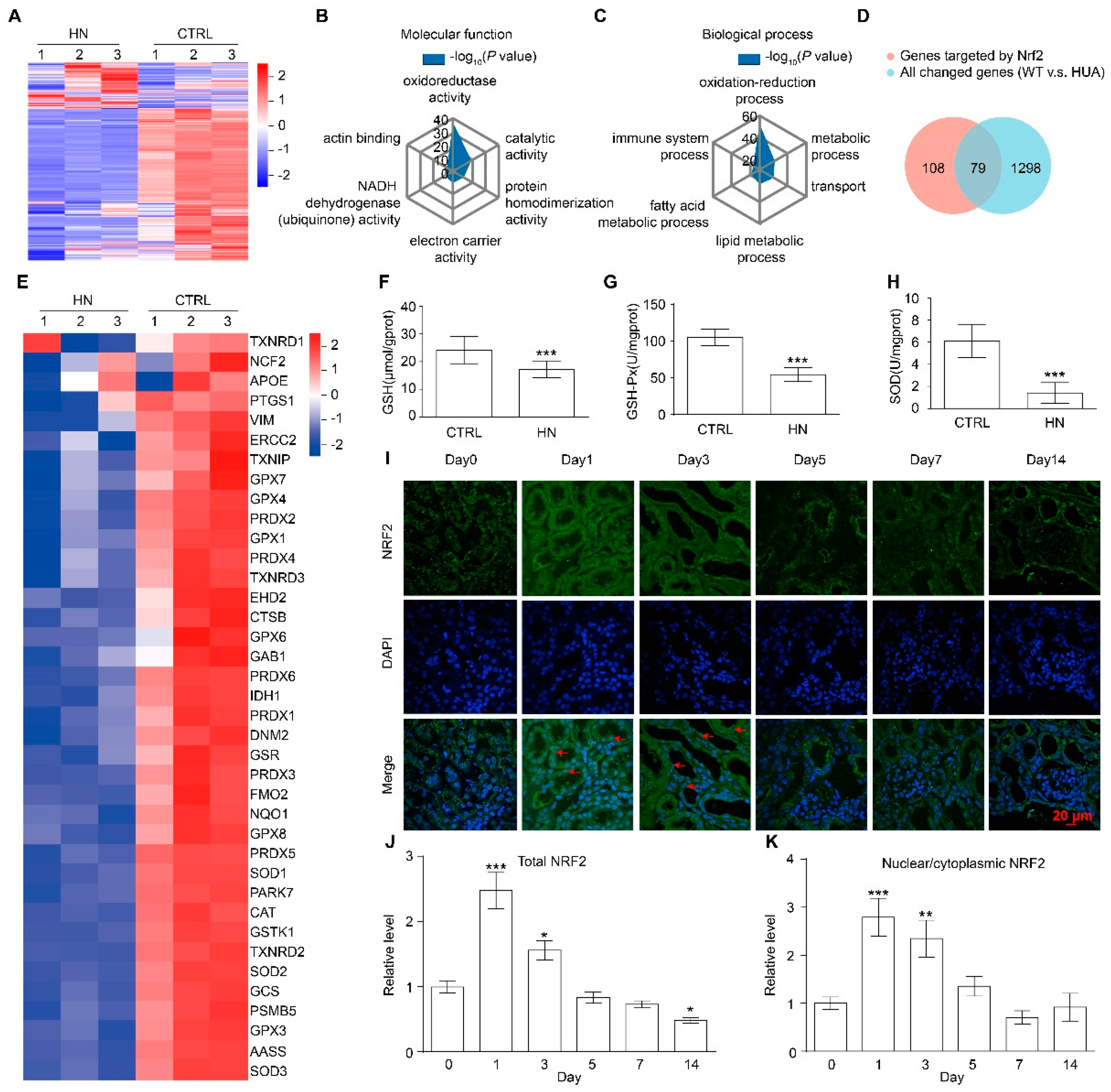 Antioxidants 12 01022 g002 Antioxidants 12 01022 g002