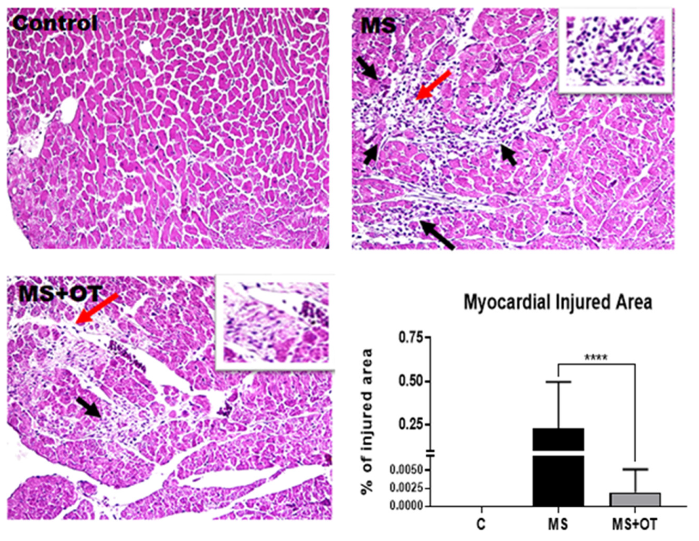 Antioxidants 12 01023 g007