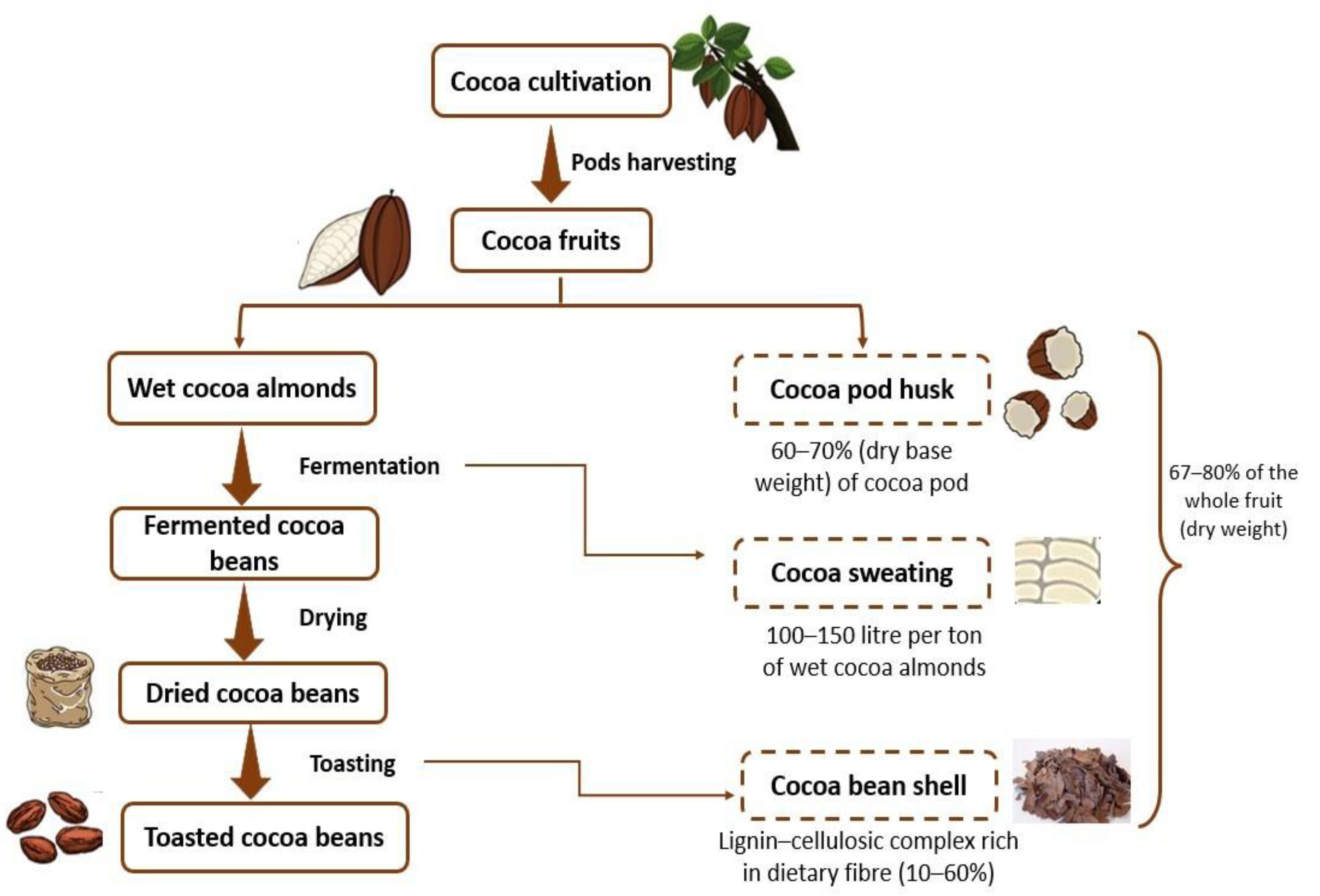 Cocoa butter, Definition, Characteristics, & Uses