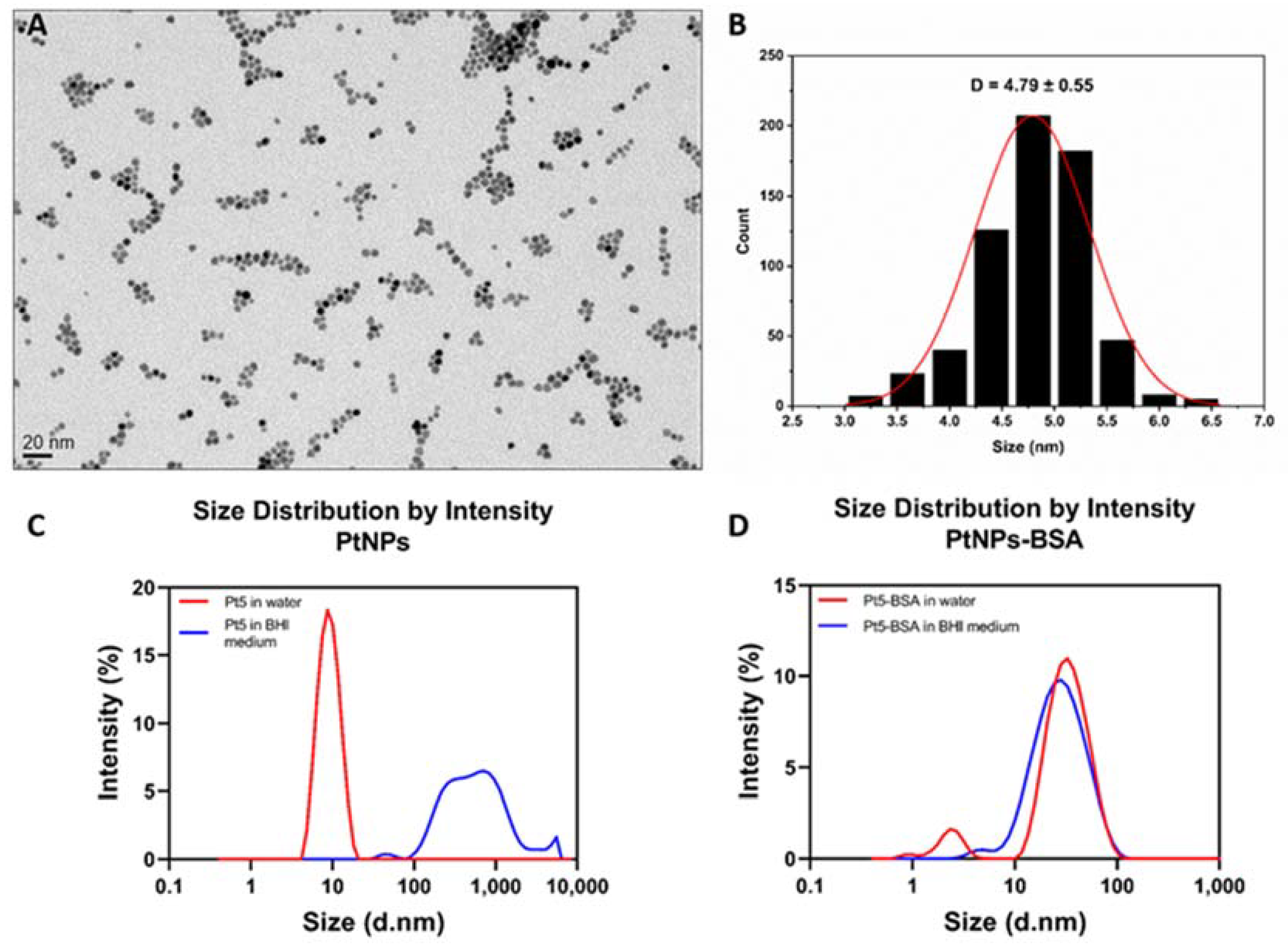 Antioxidants 12 01029 g001 Antioxidants 12 01029 g001