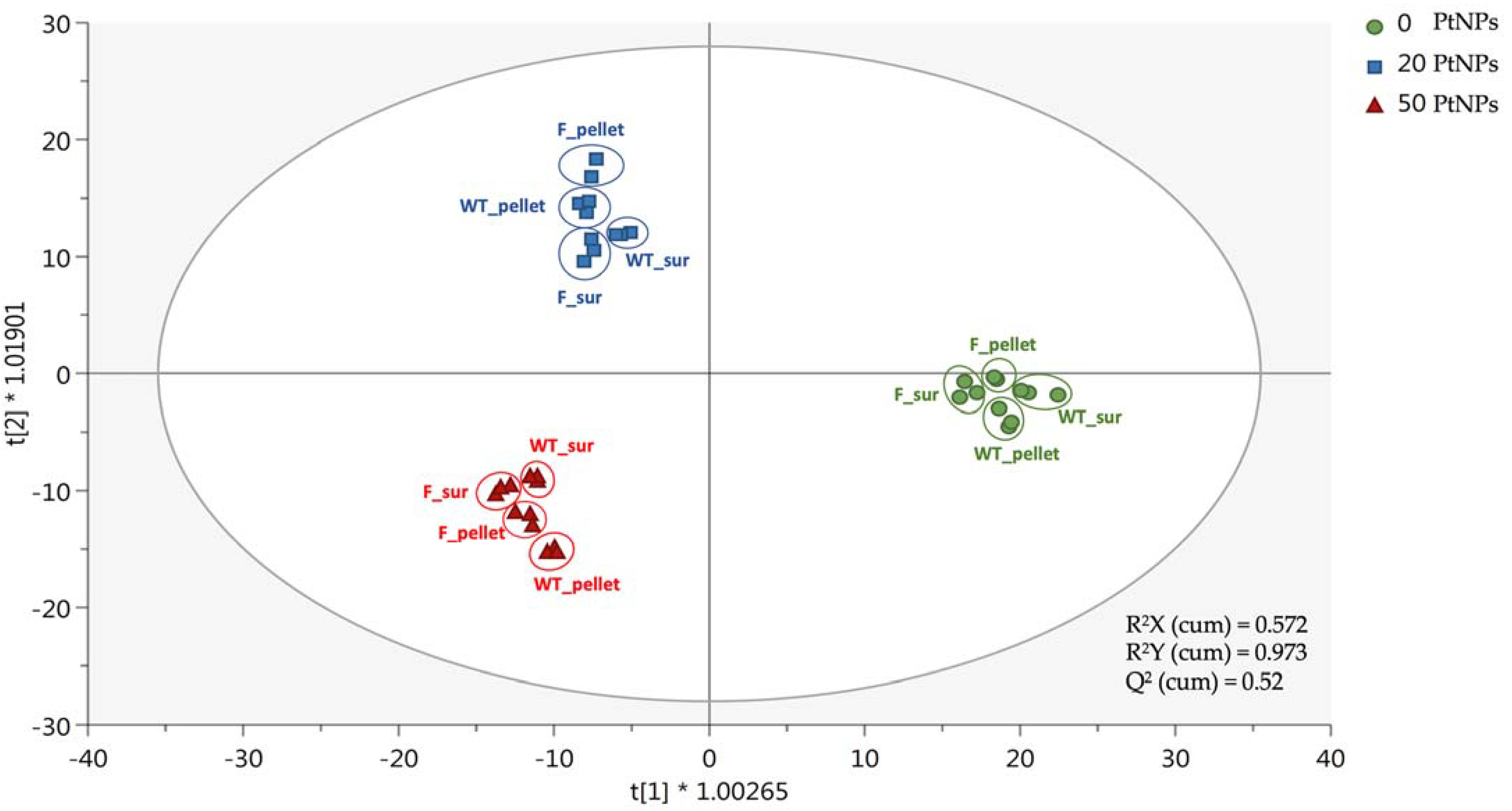 Antioxidants 12 01029 g005 Antioxidants 12 01029 g005