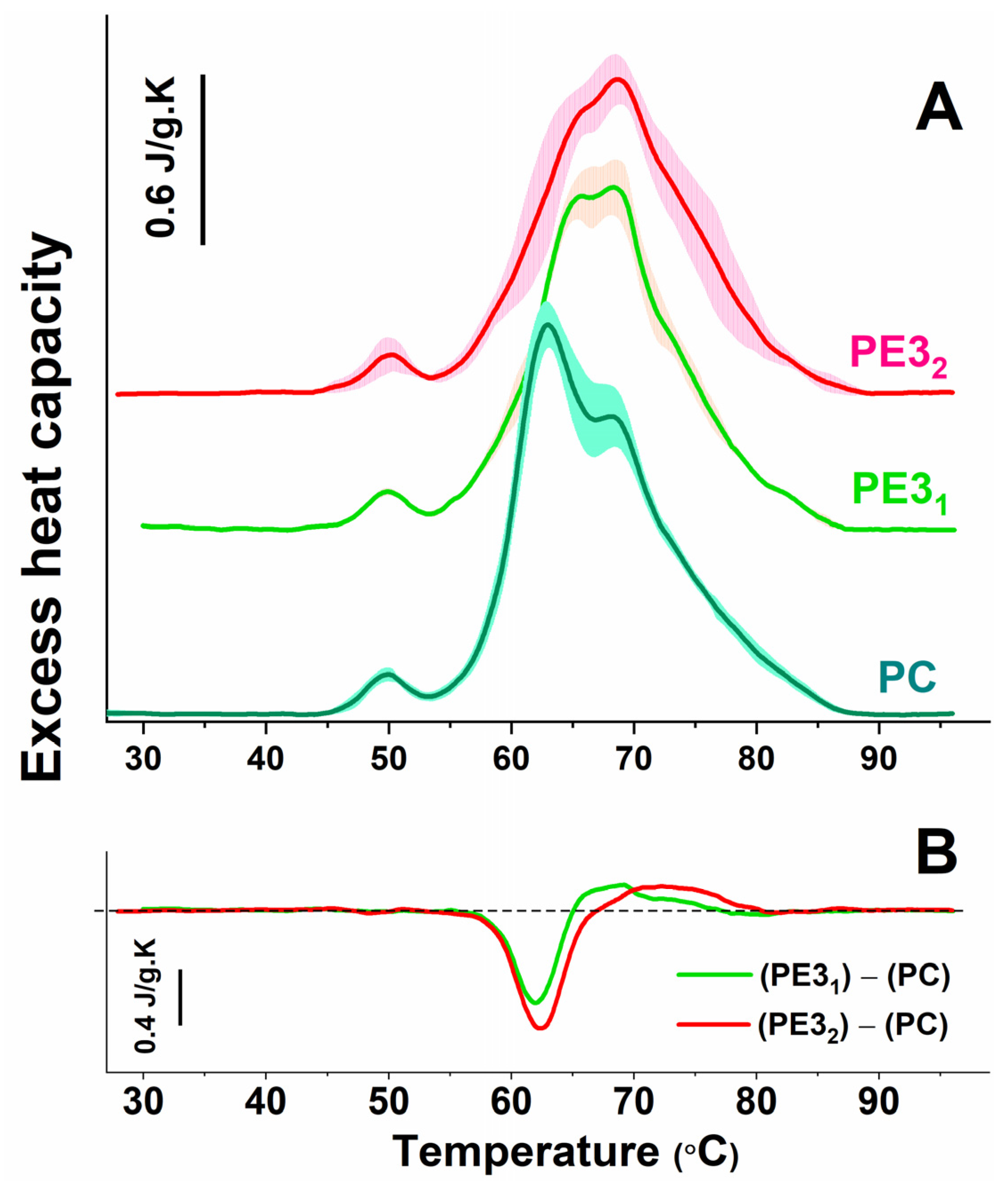 Antioxidants 12 01032 g002