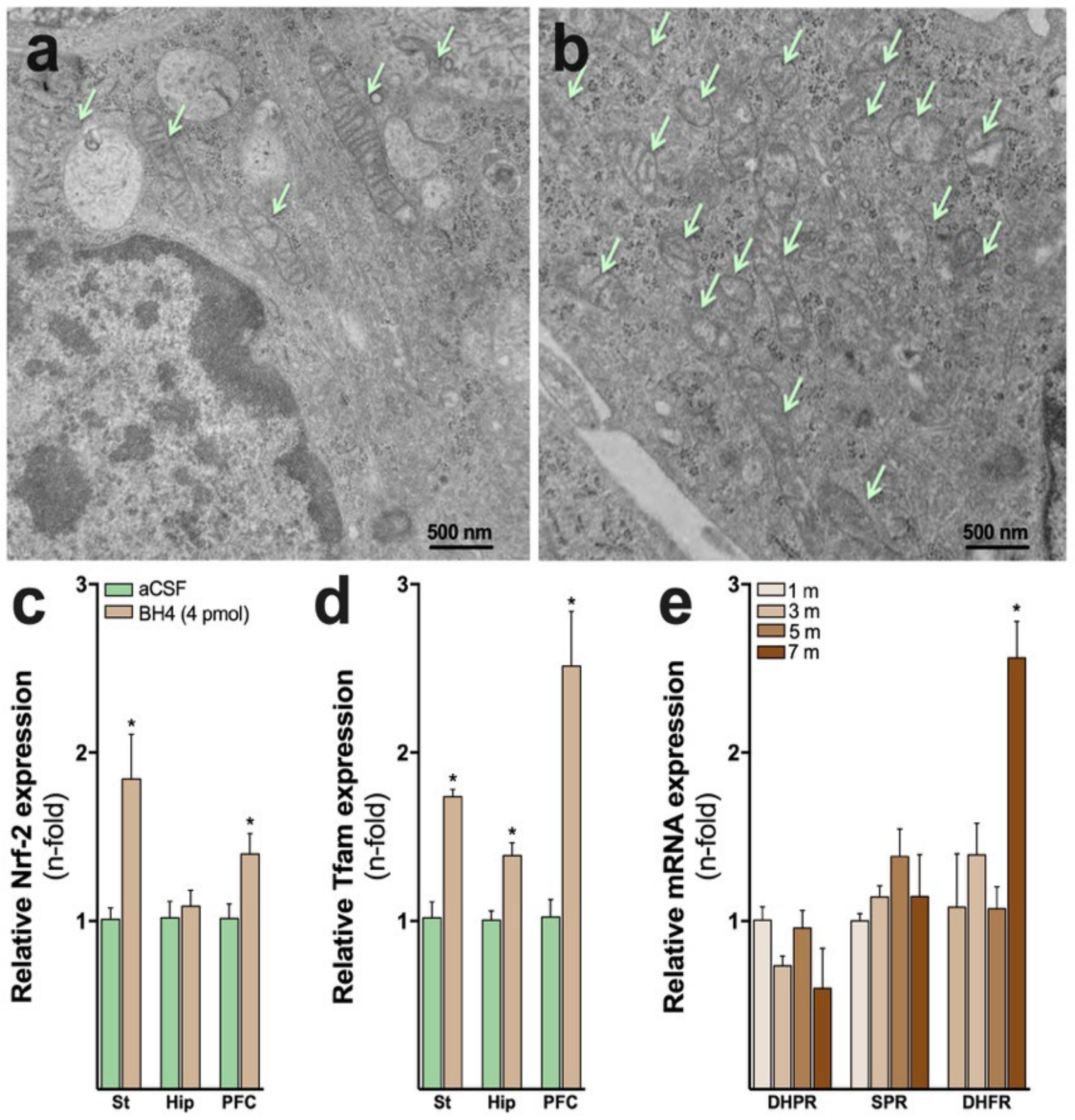 Antioxidants 12 01037 g003