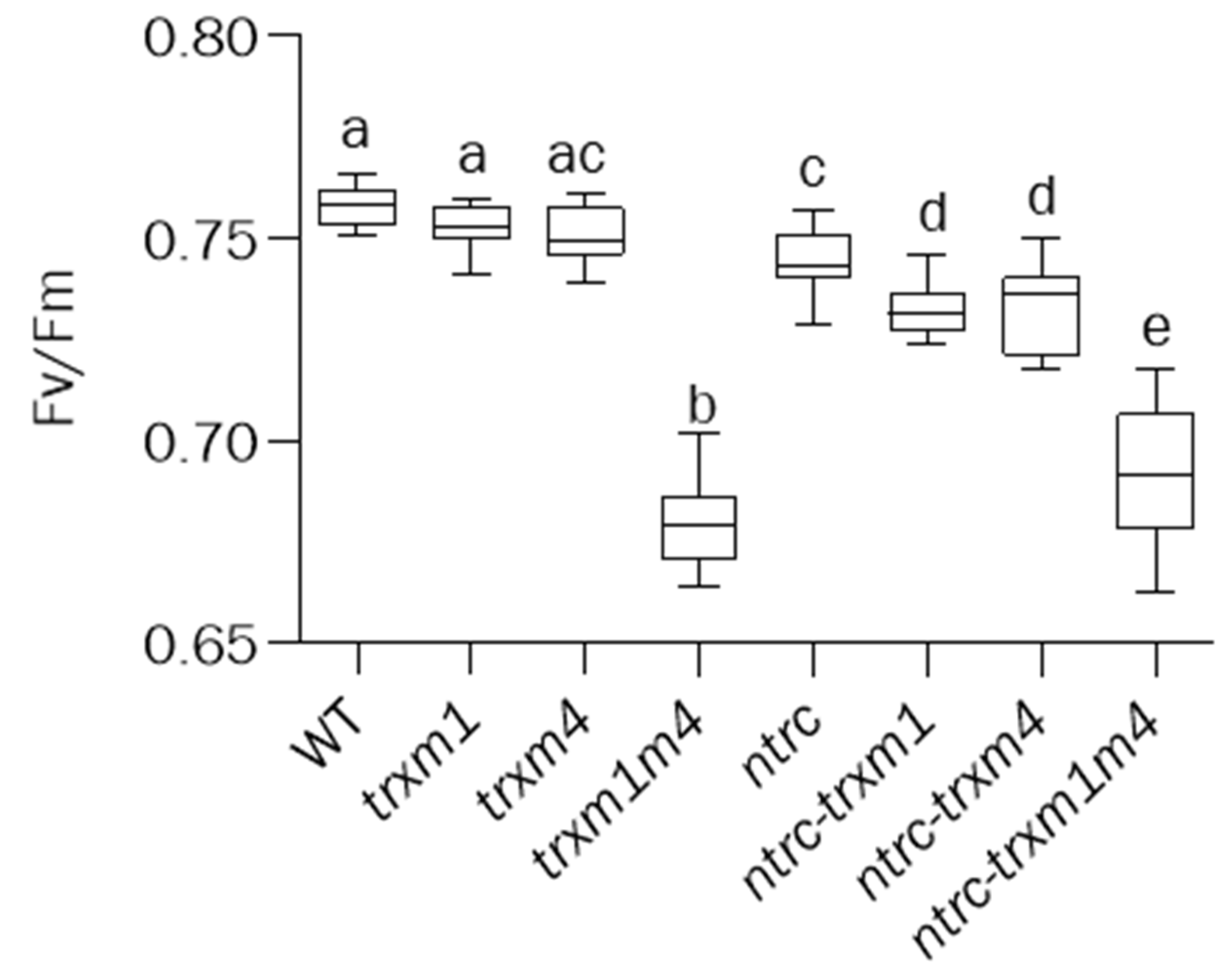 Antioxidants 12 01041 g003 Antioxidants 12 01041 g003