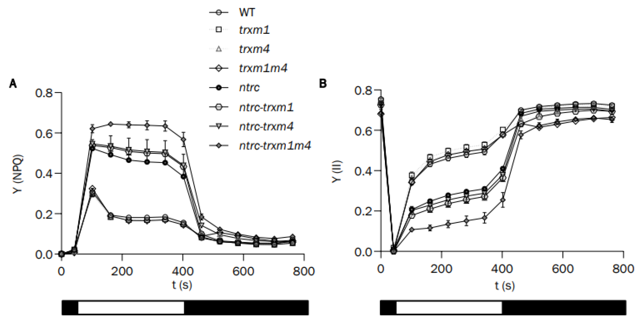 Antioxidants 12 01041 g004 Antioxidants 12 01041 g004