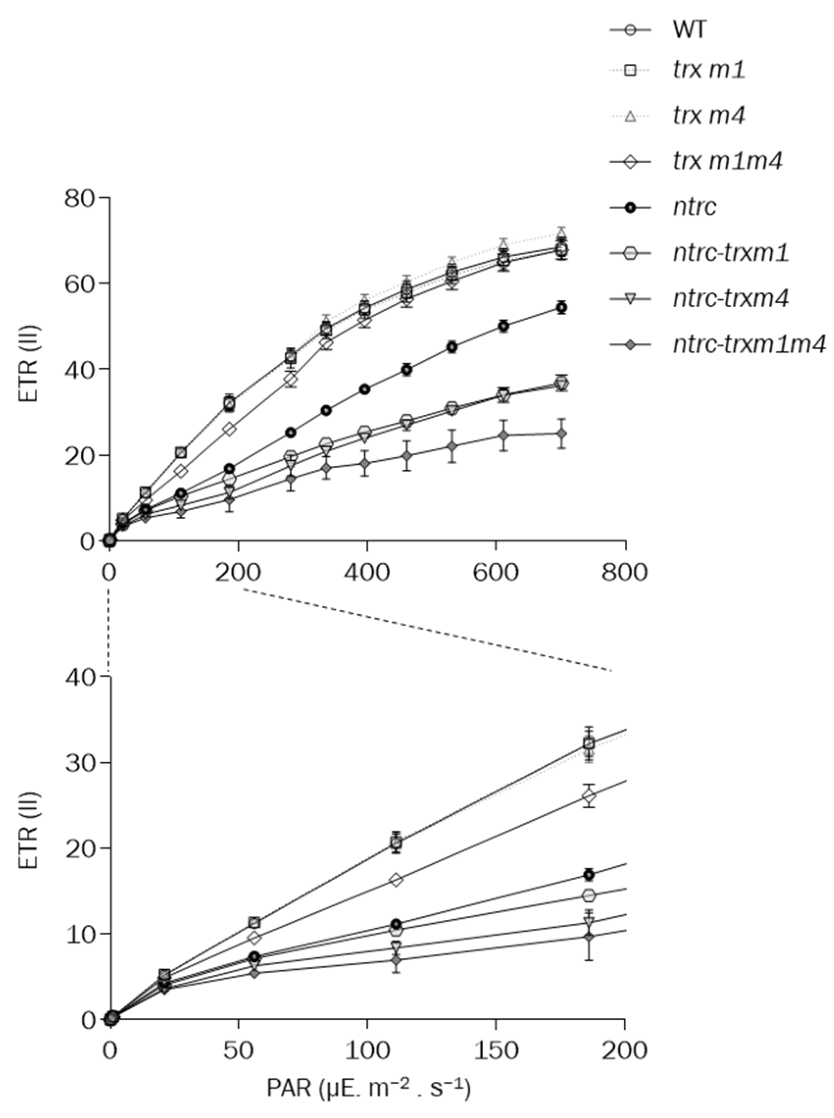 Antioxidants 12 01041 g005 Antioxidants 12 01041 g005