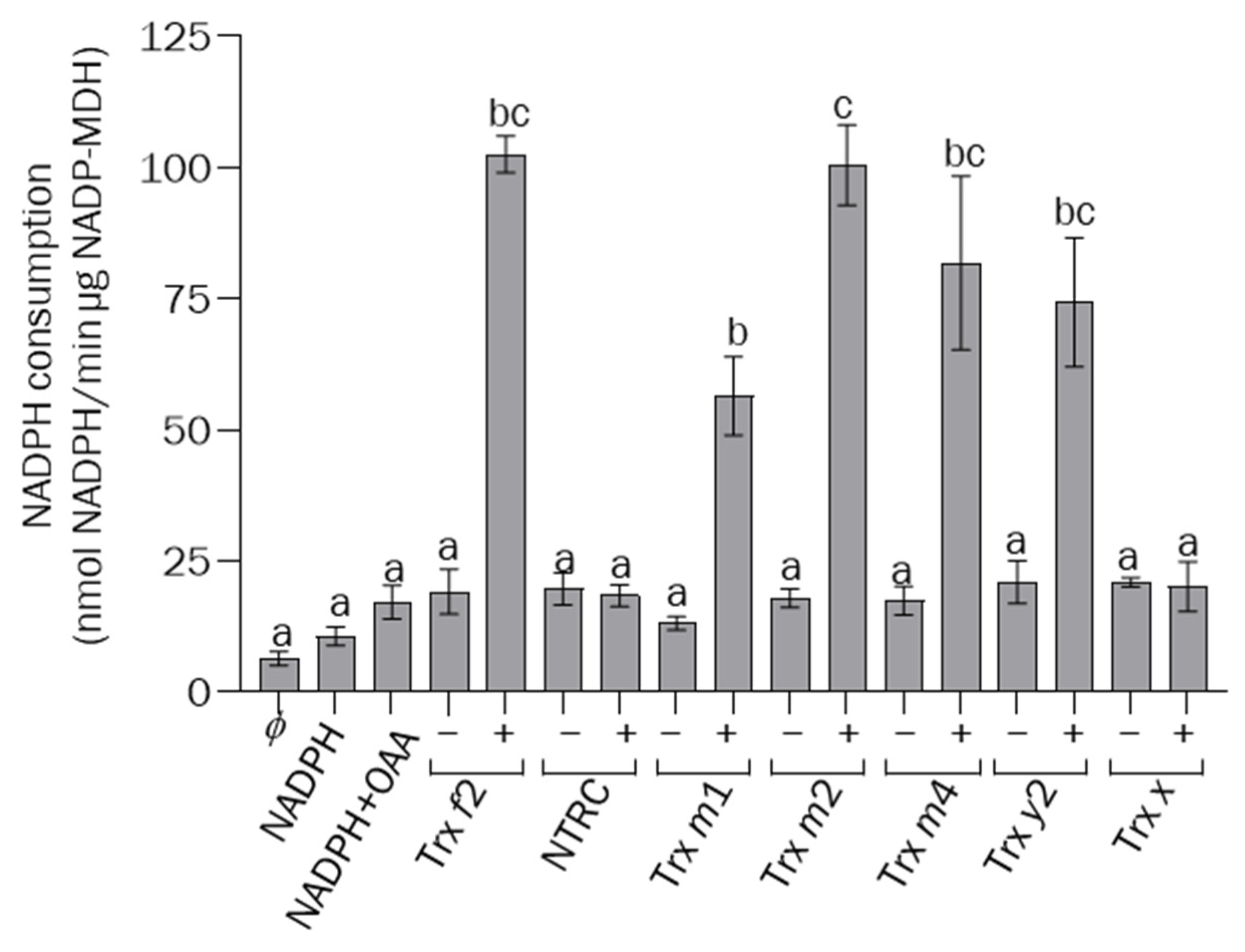 Antioxidants 12 01041 g008 Antioxidants 12 01041 g008
