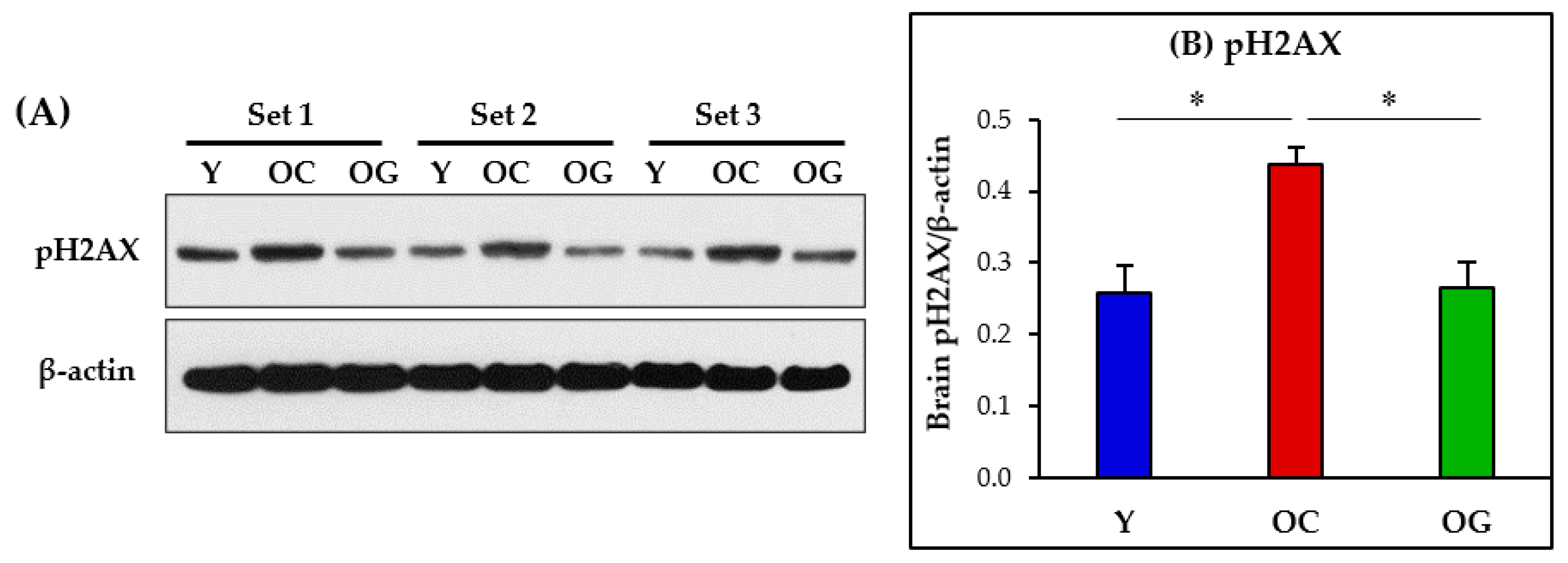 Antioxidants 12 01042 g011