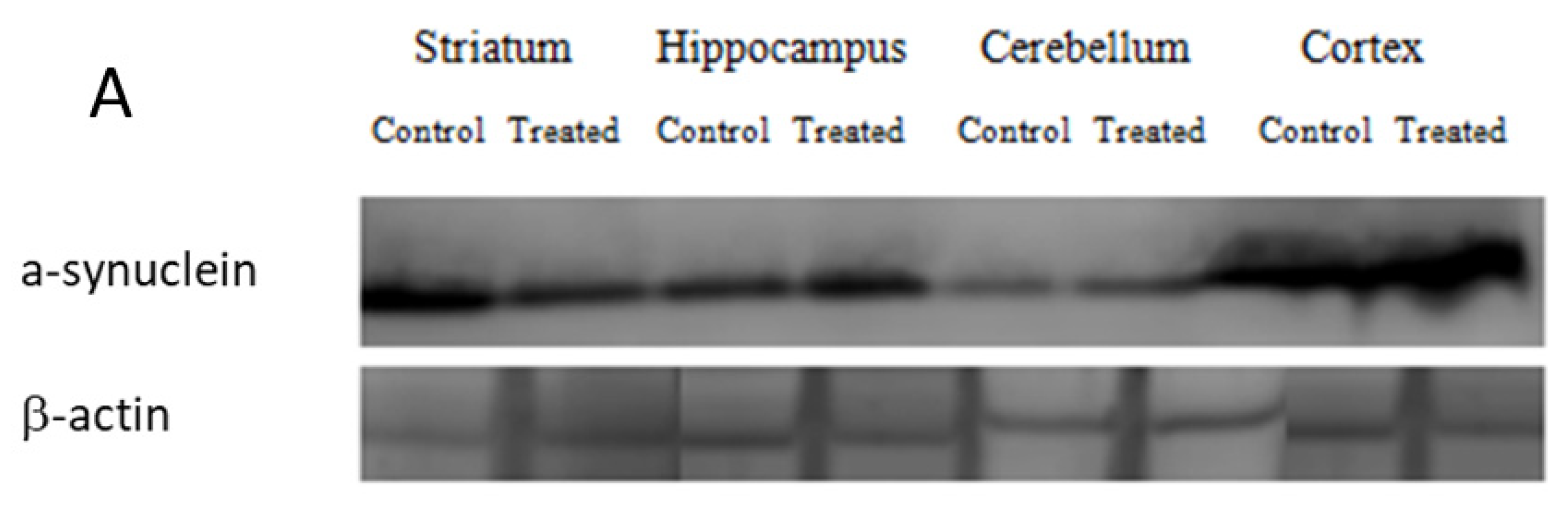 Antioxidants 12 01047 g007a Antioxidants 12 01047 g007a